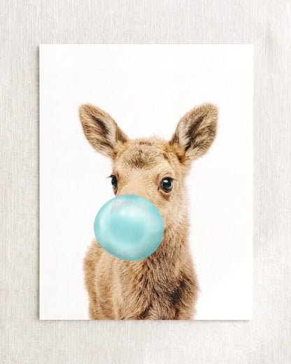 Baby Moose