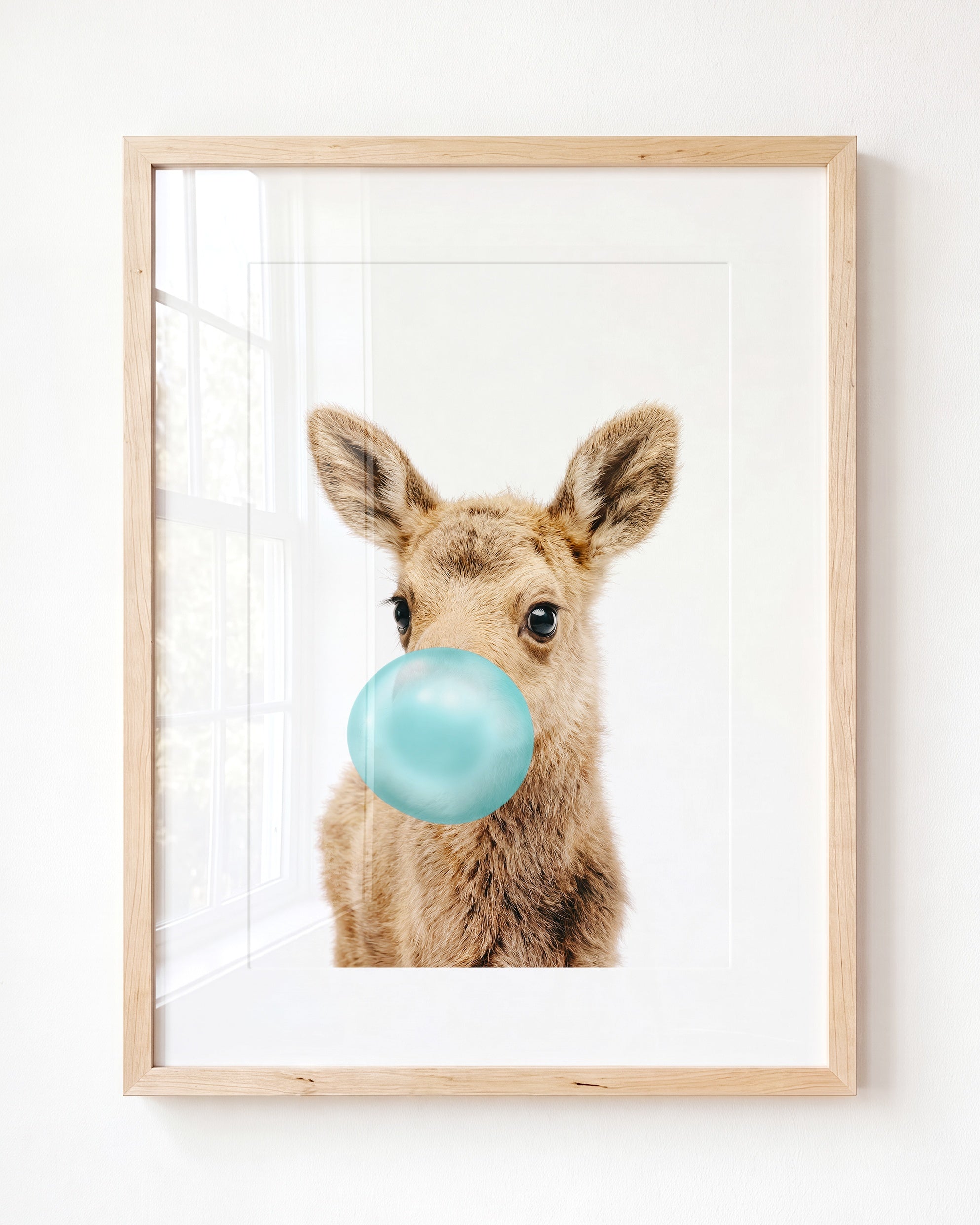Baby Moose