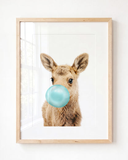 Baby Moose