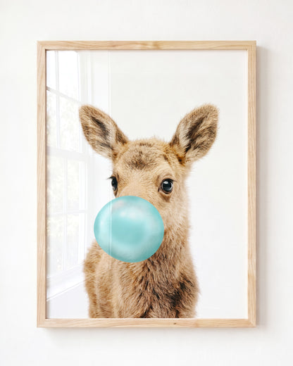 Baby Moose
