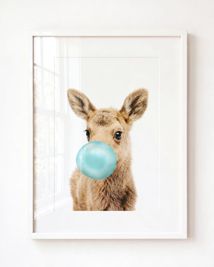 Baby Moose