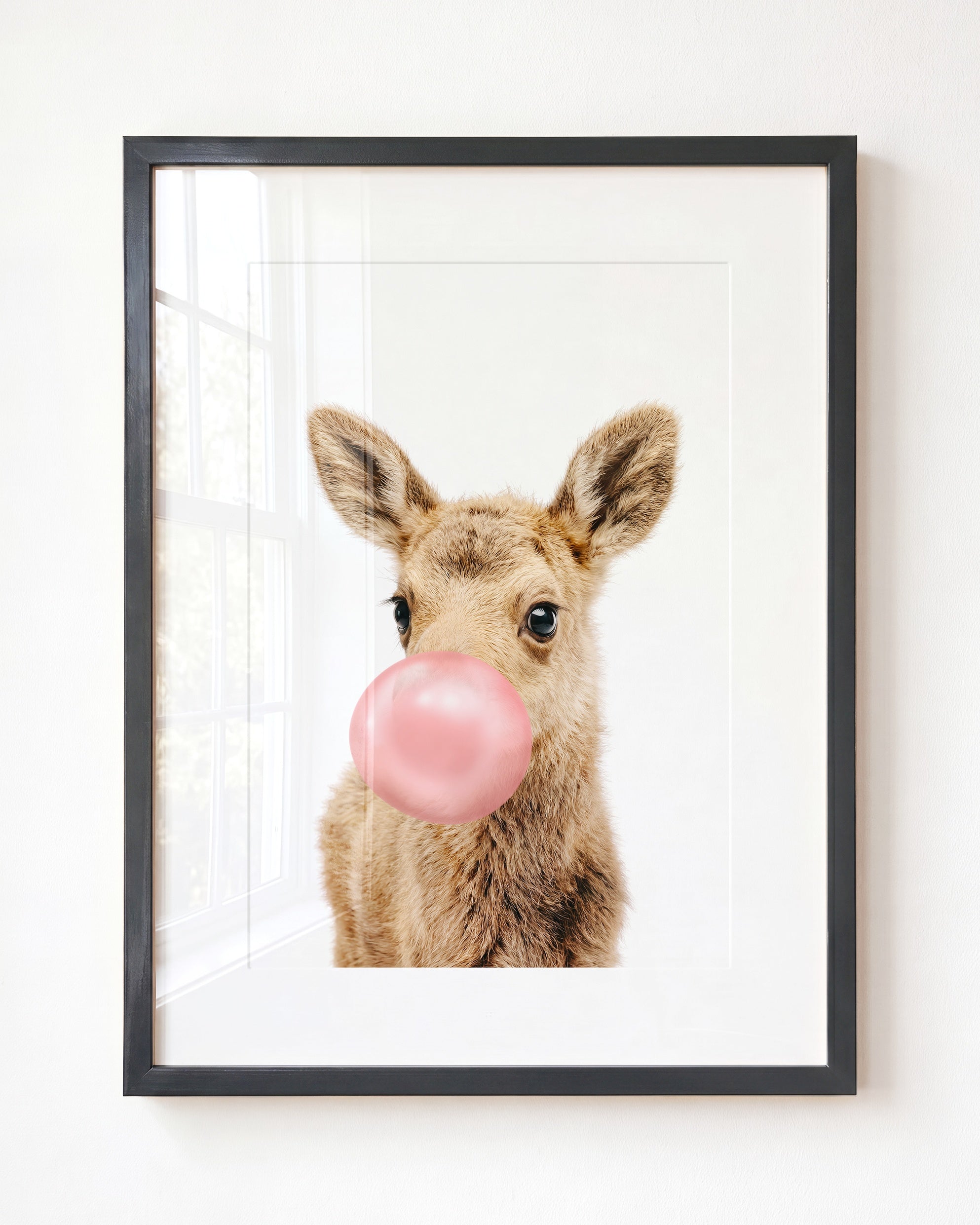 Baby Moose