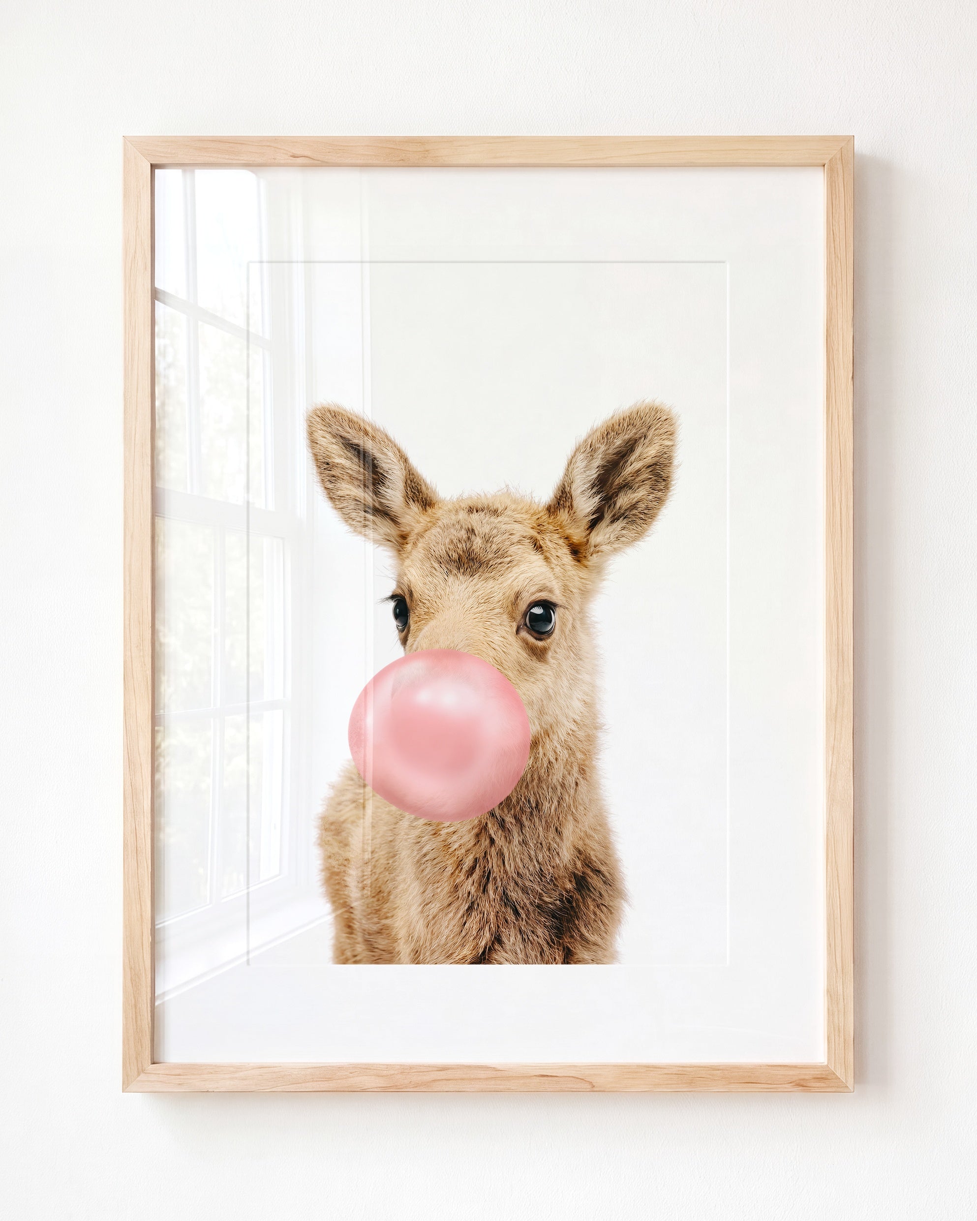 Baby Moose