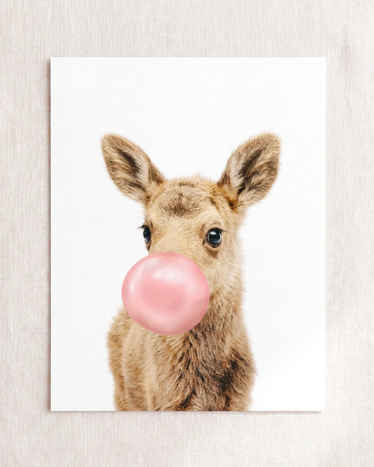 Baby Moose