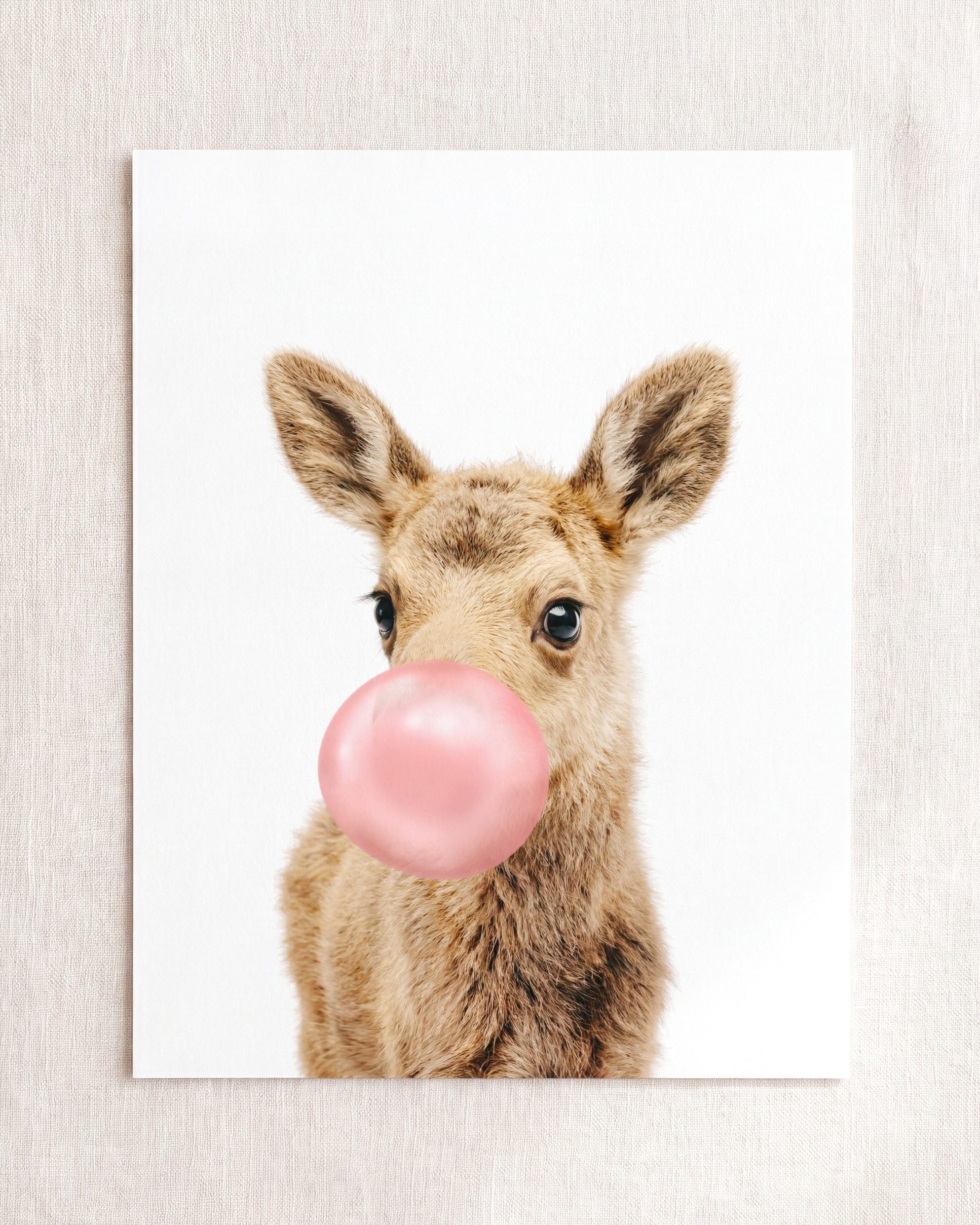 Baby Moose