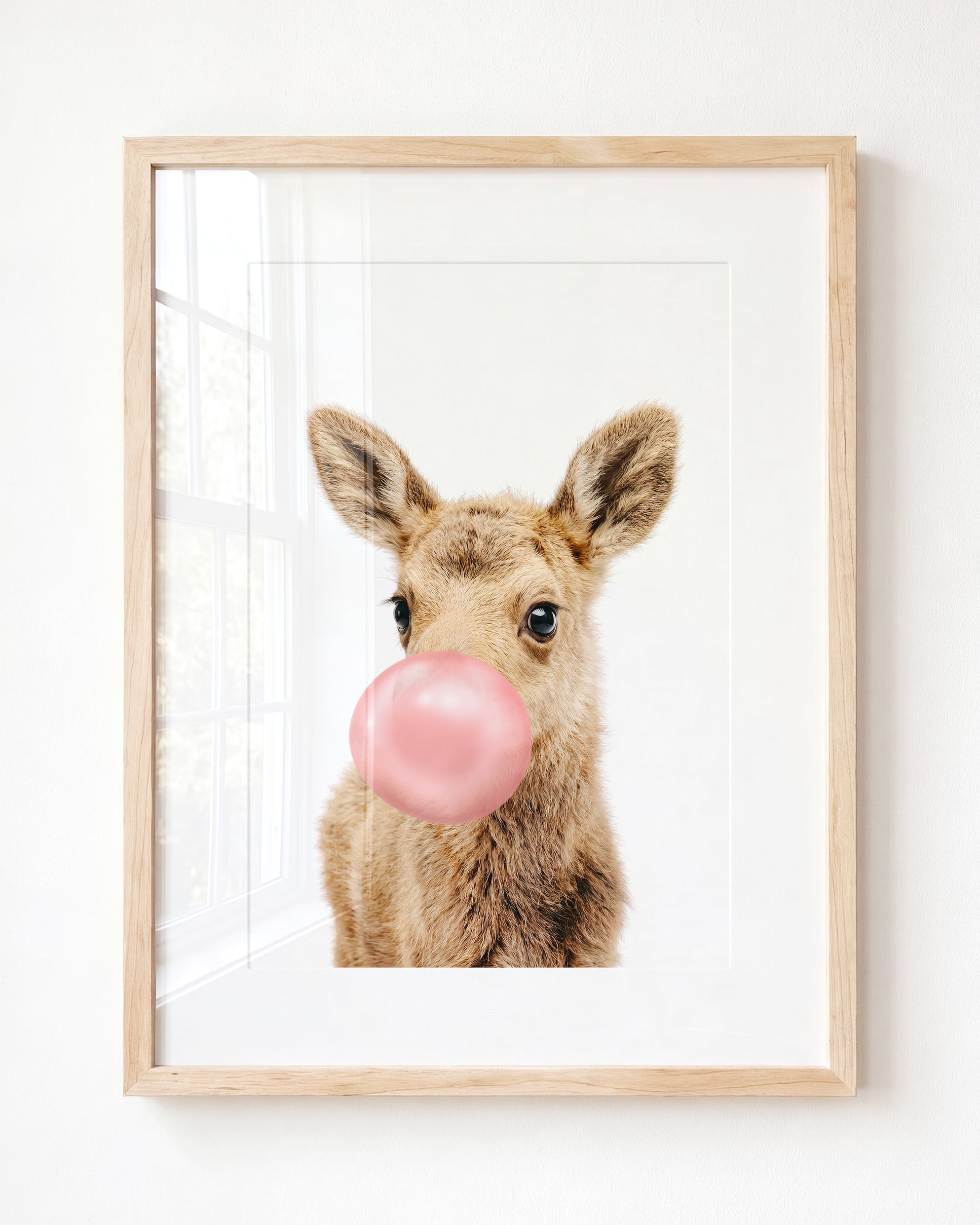 Baby Moose