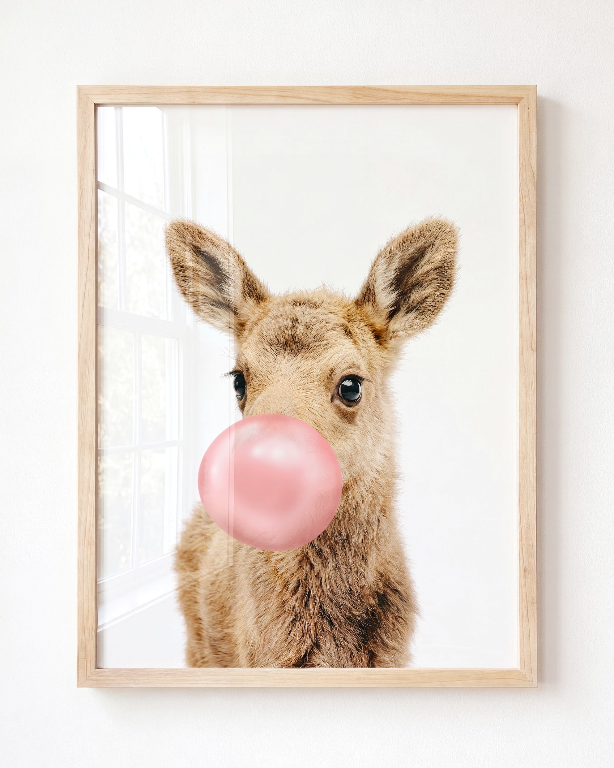 Baby Moose