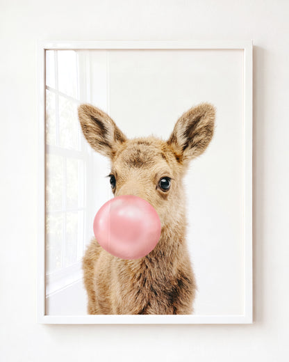 Baby Moose