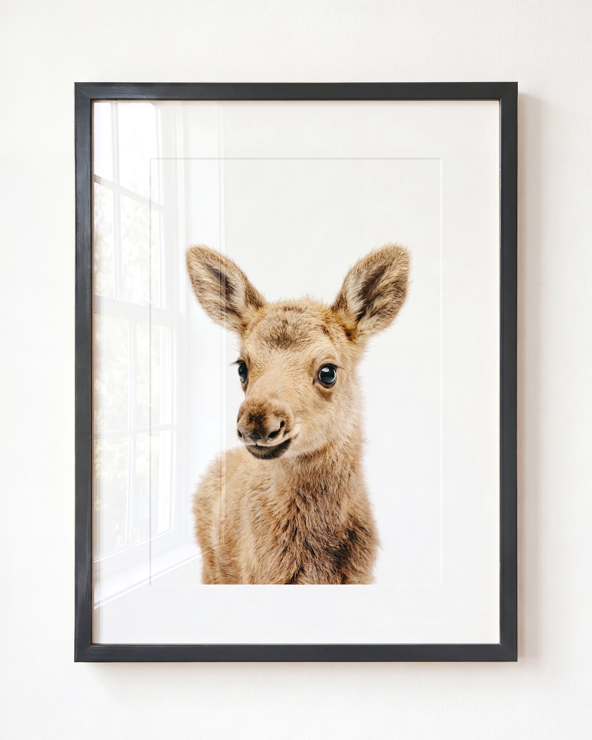 Baby Moose