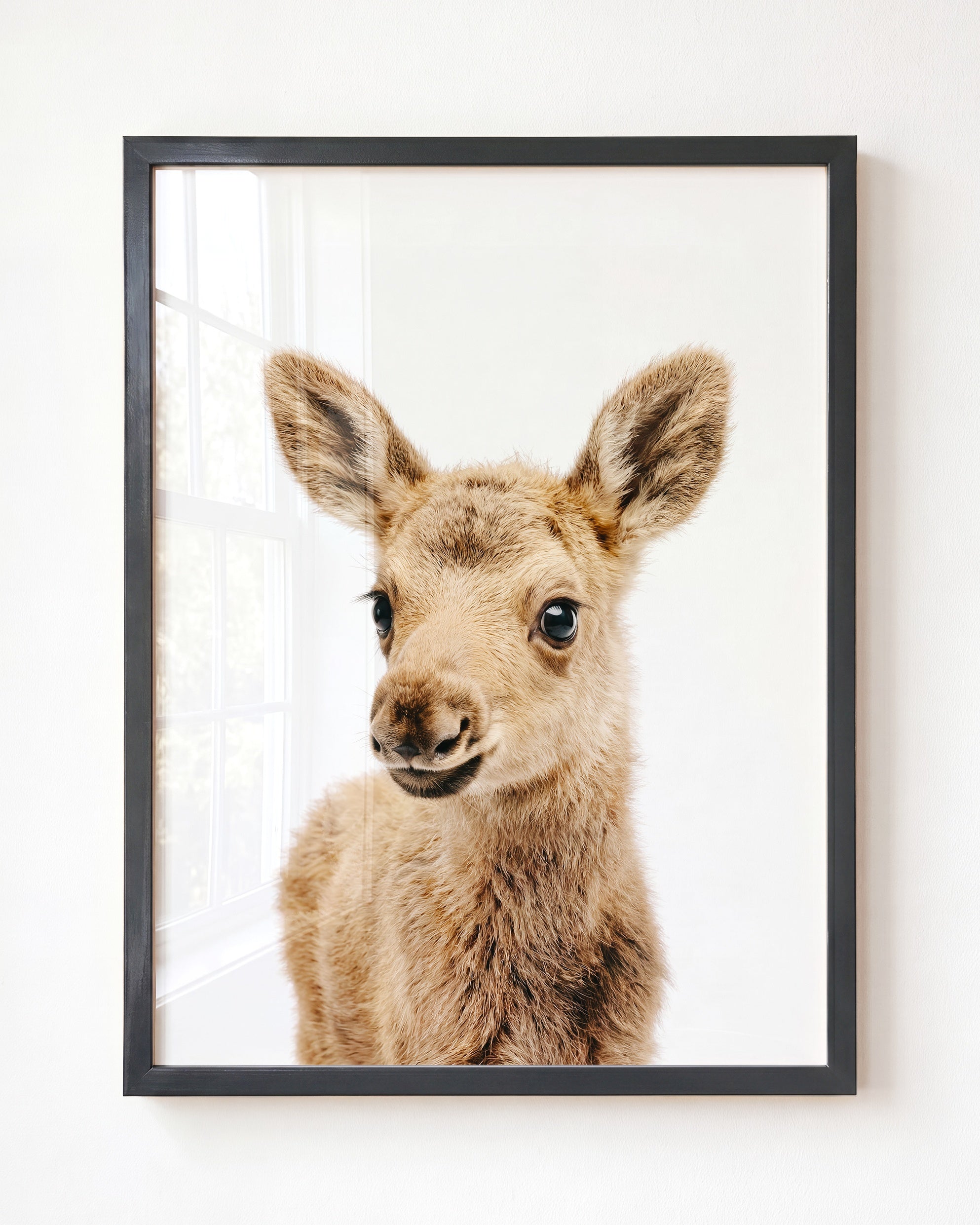 Baby Moose