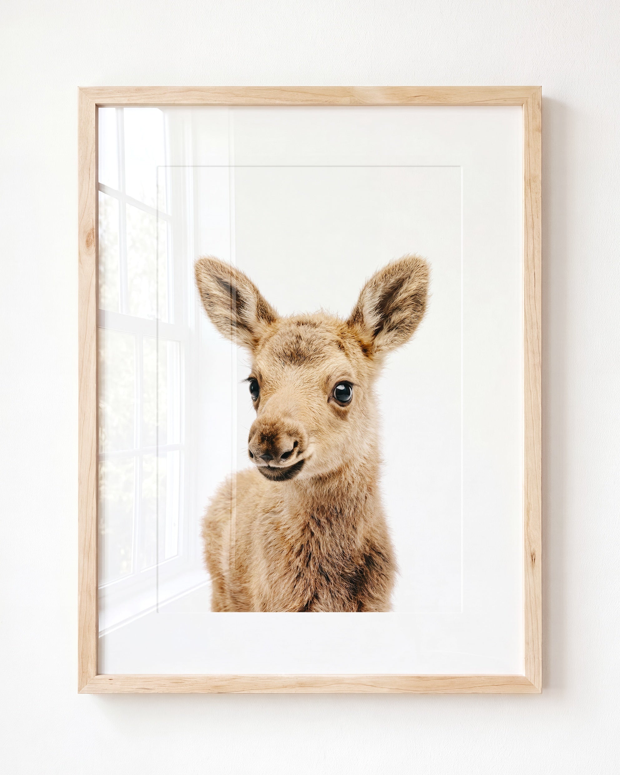Baby Moose