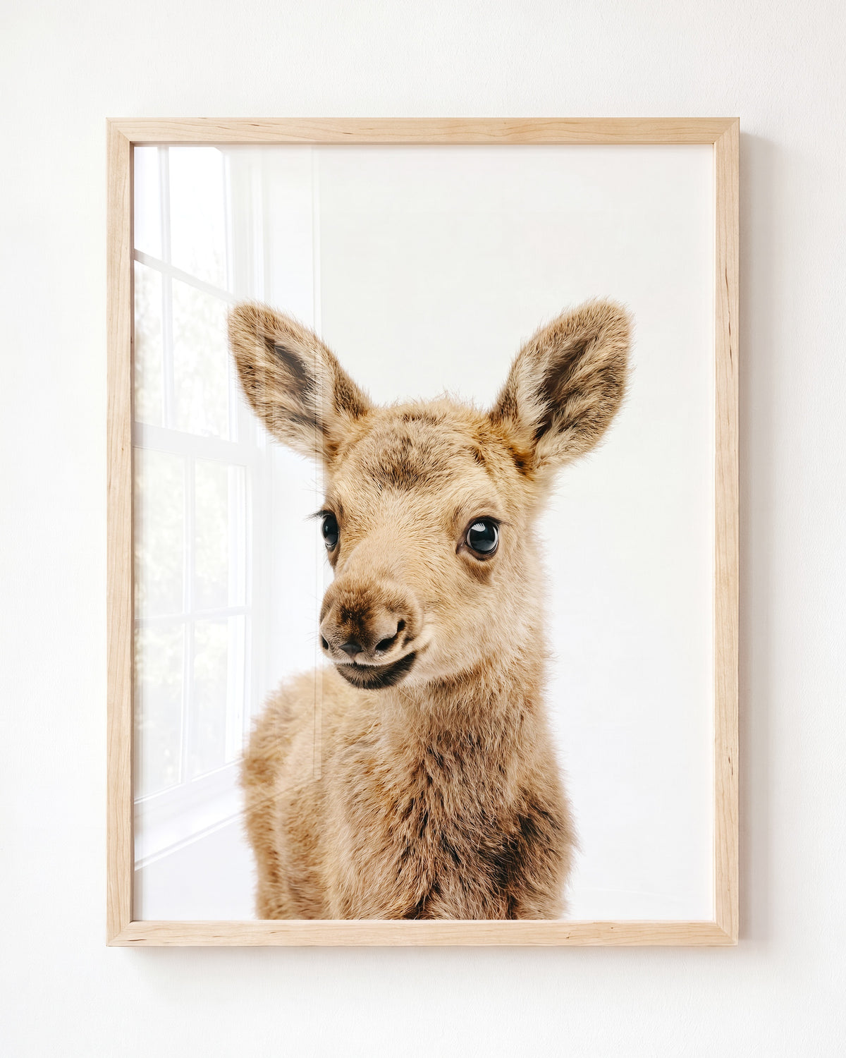 Baby Moose — Framed