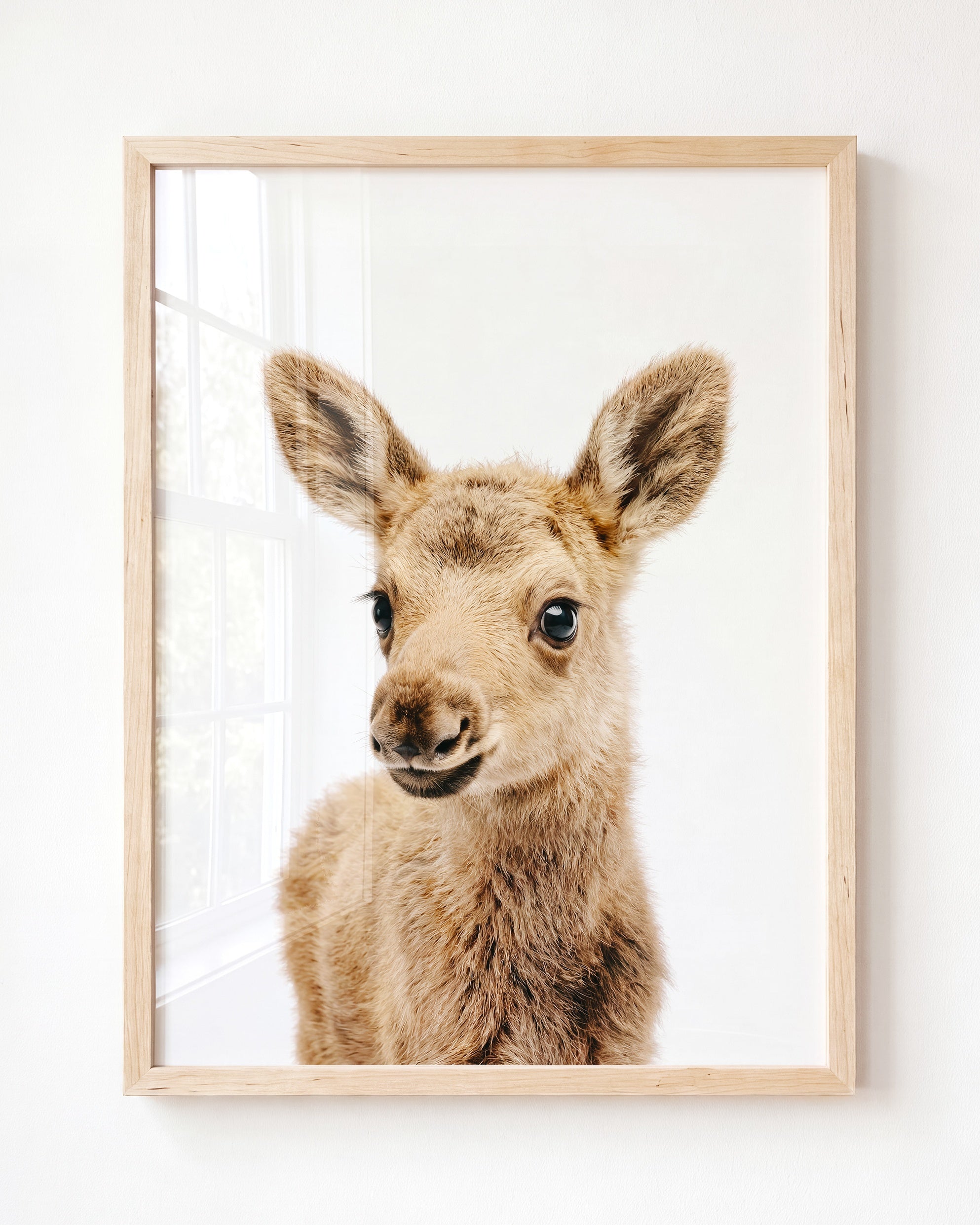 Baby Moose
