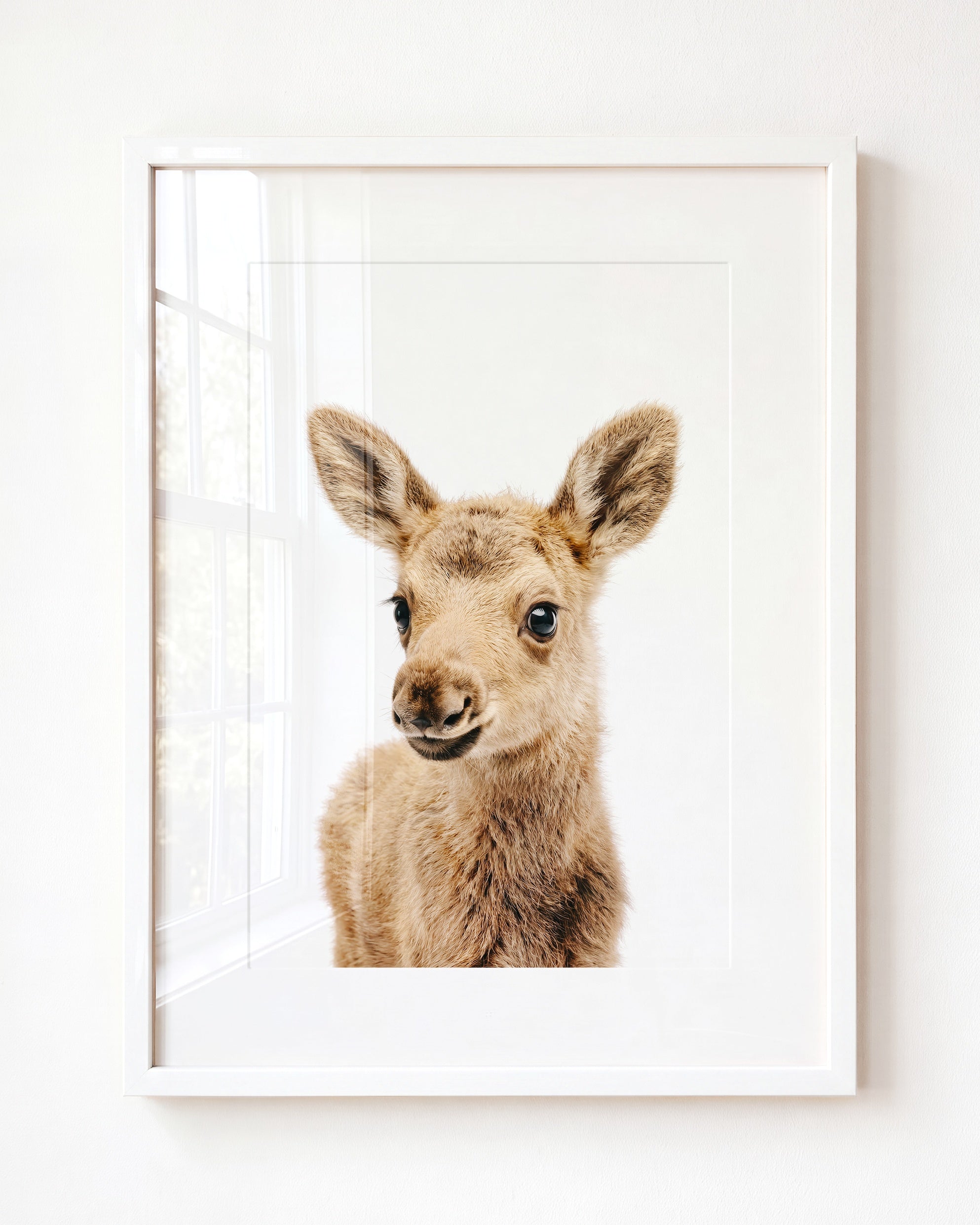 Baby Moose