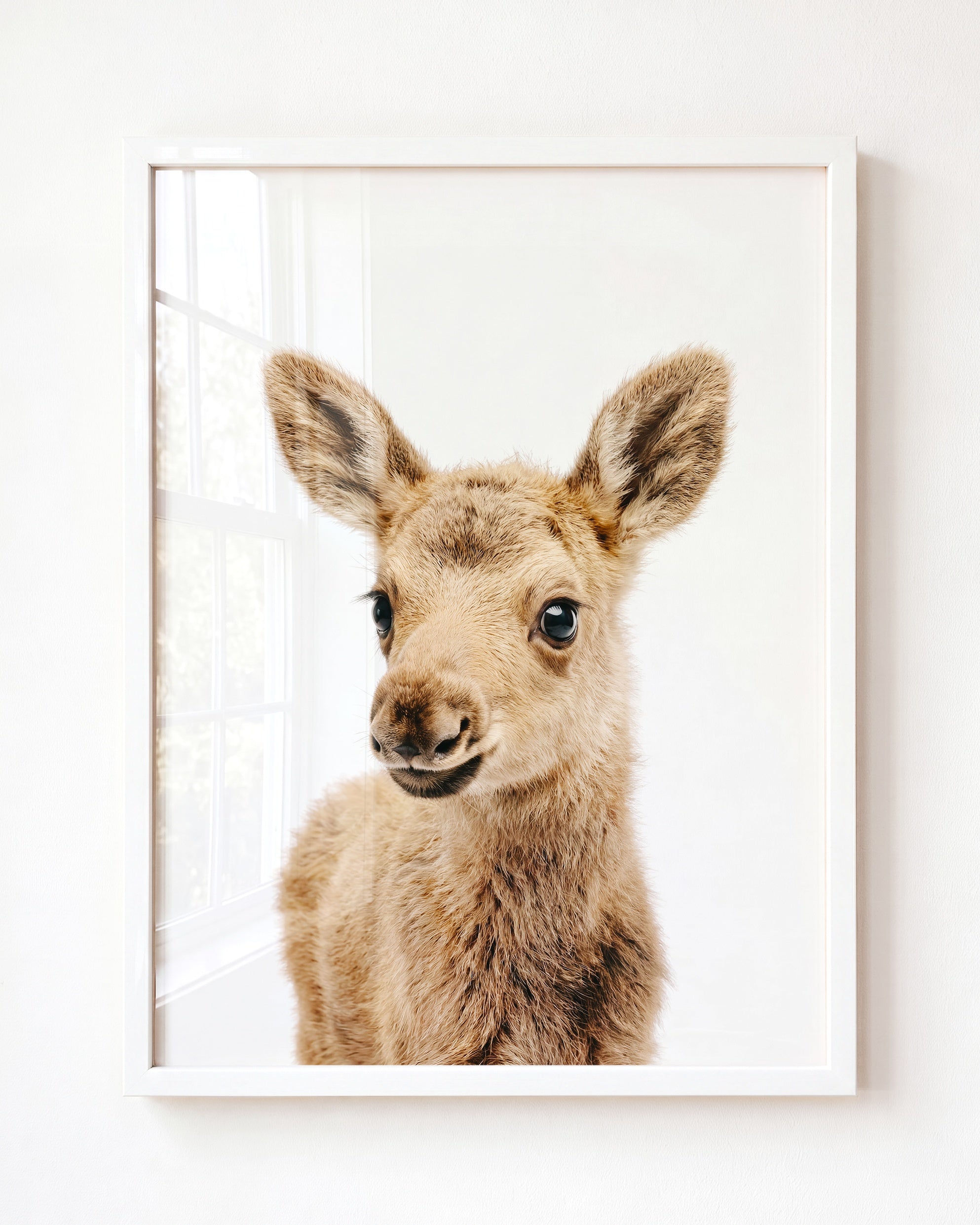 Baby Moose