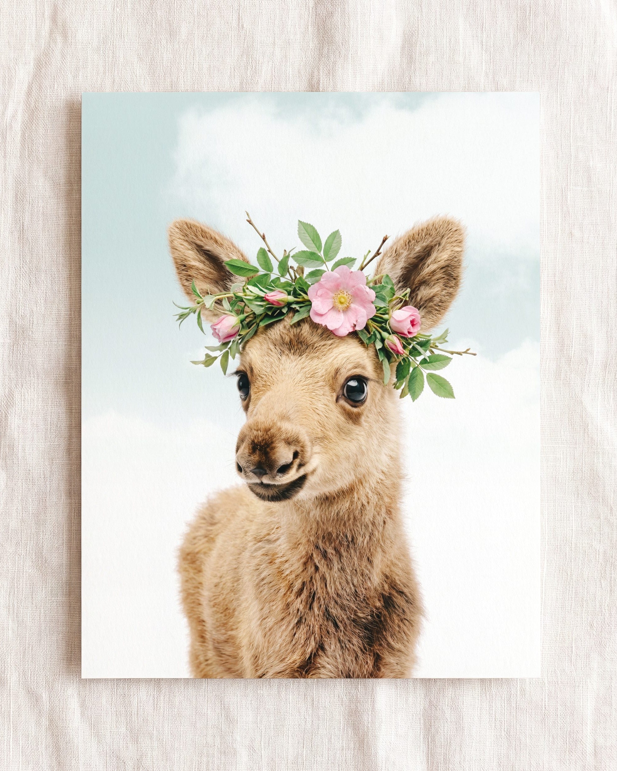 Baby Moose