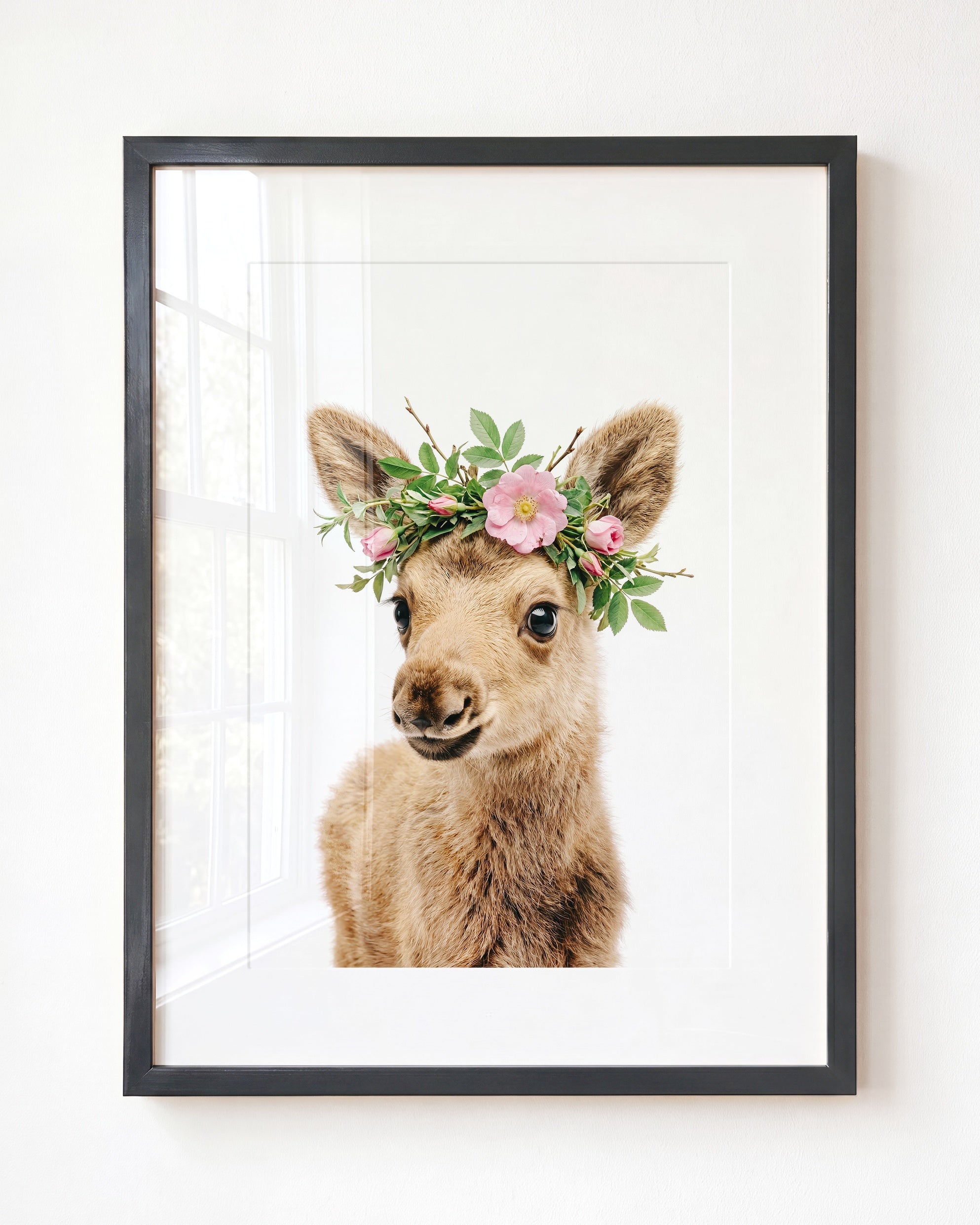 Baby Moose