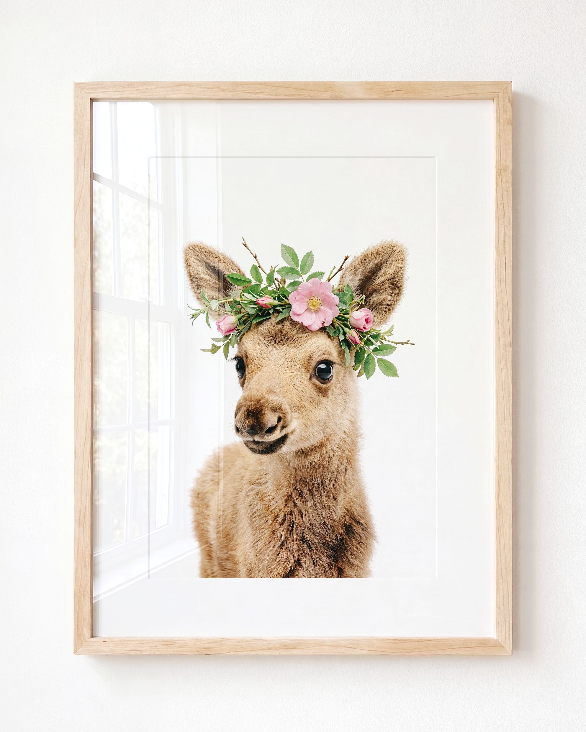 Baby Moose