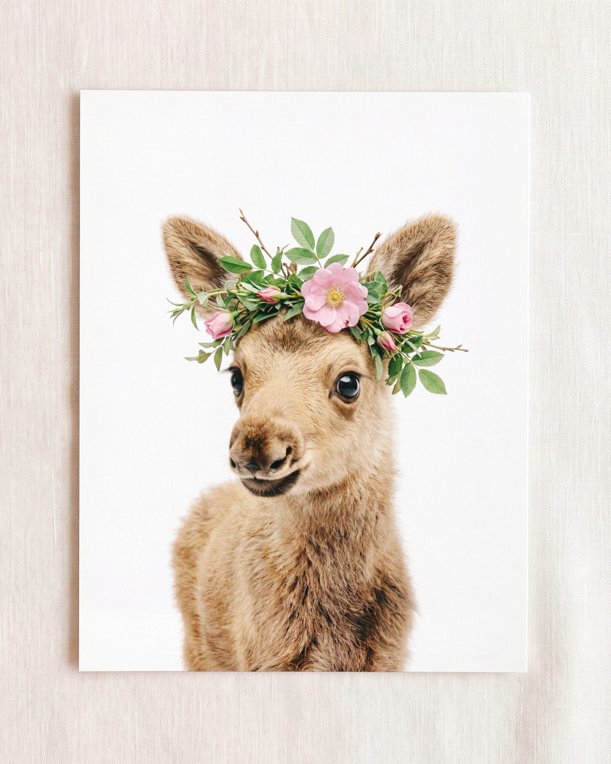 Baby Moose