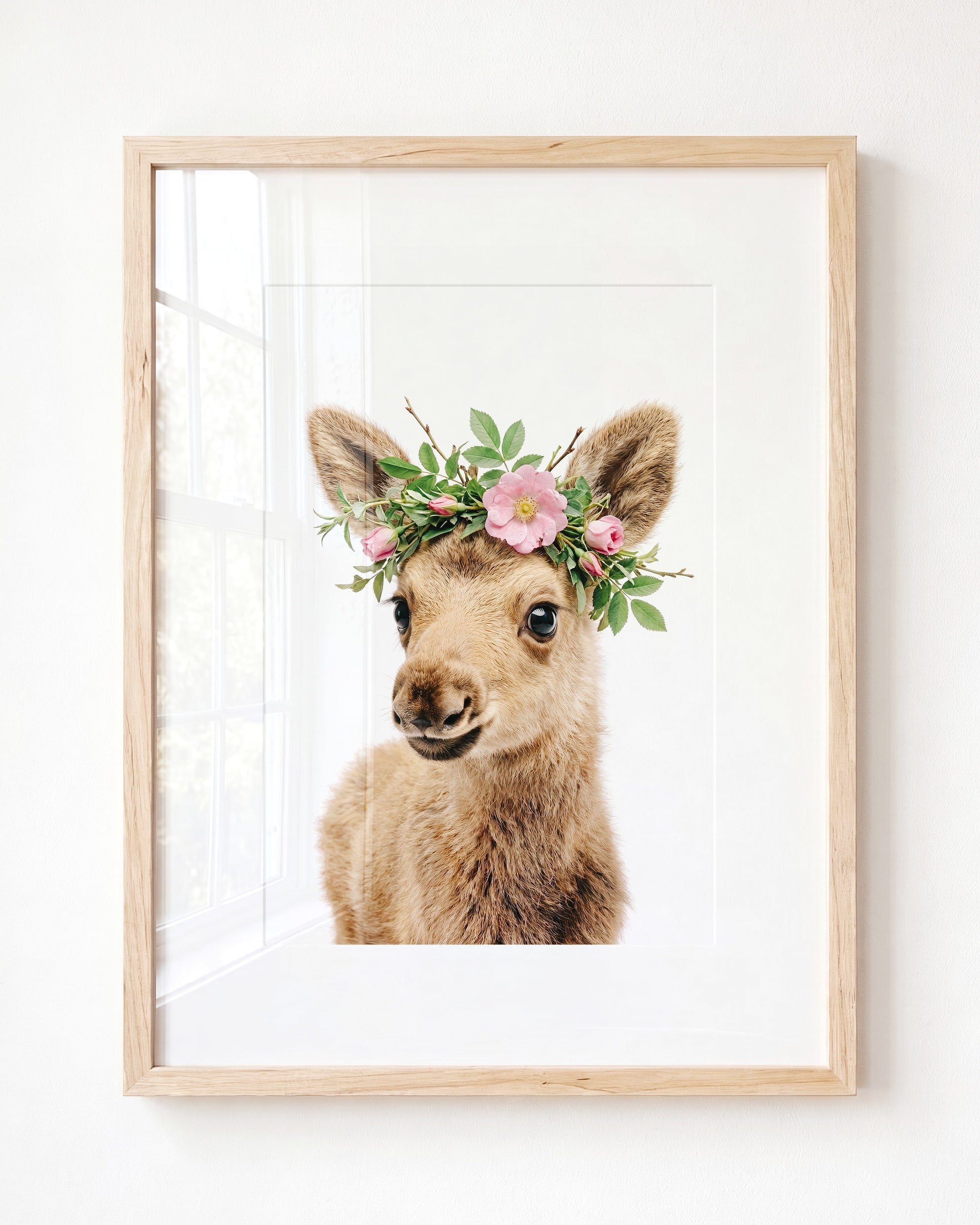 Baby Moose