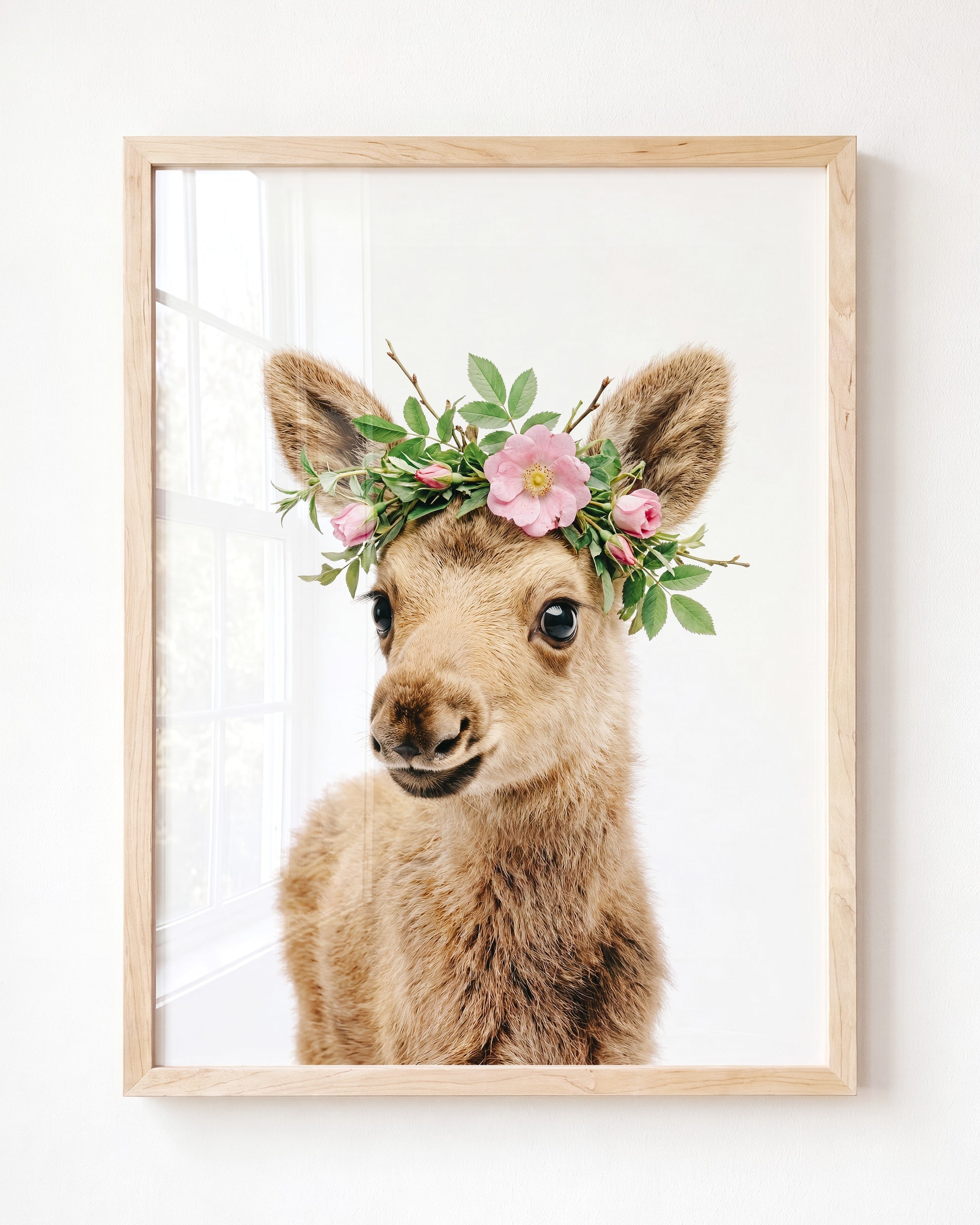 Baby Moose