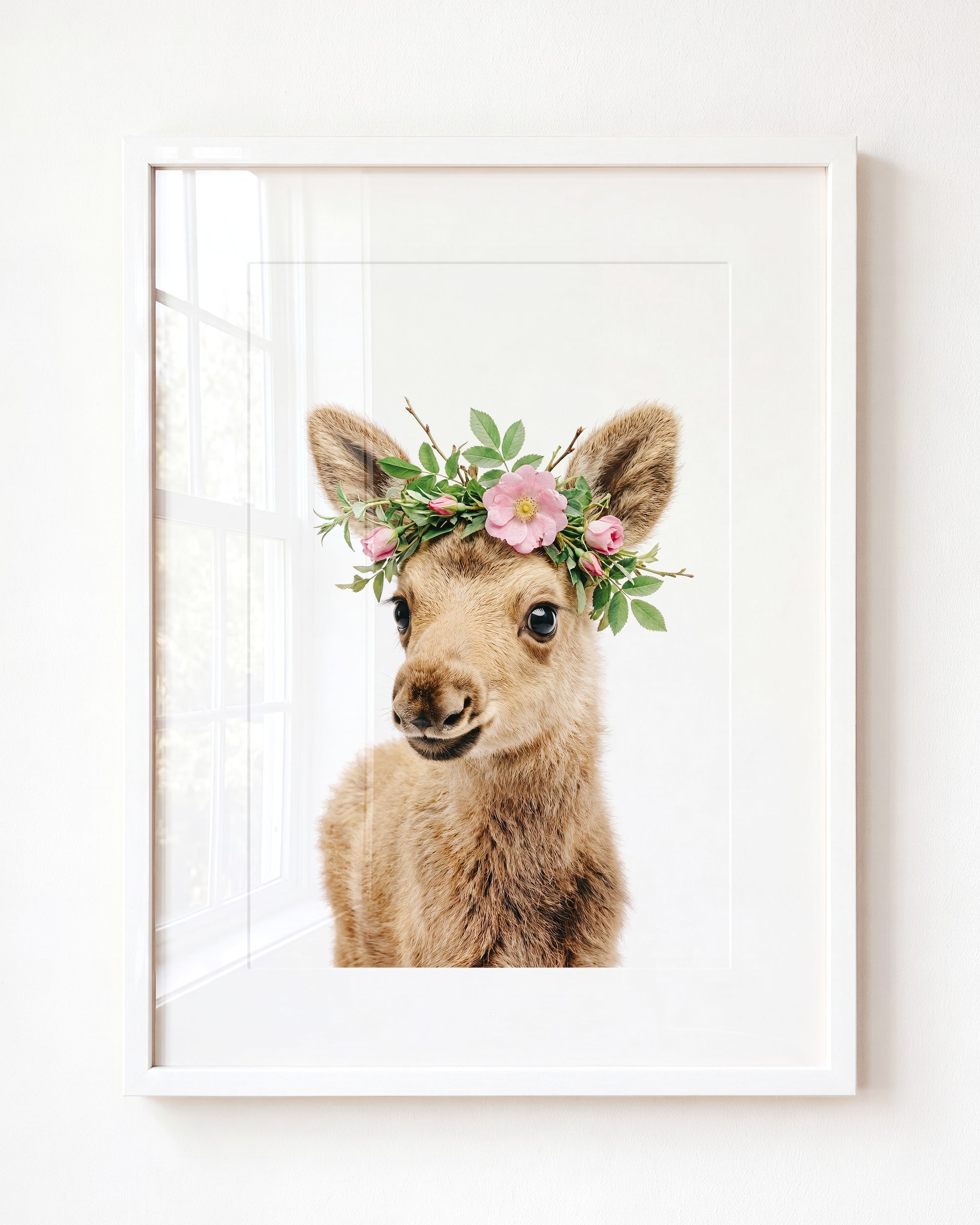 Baby Moose