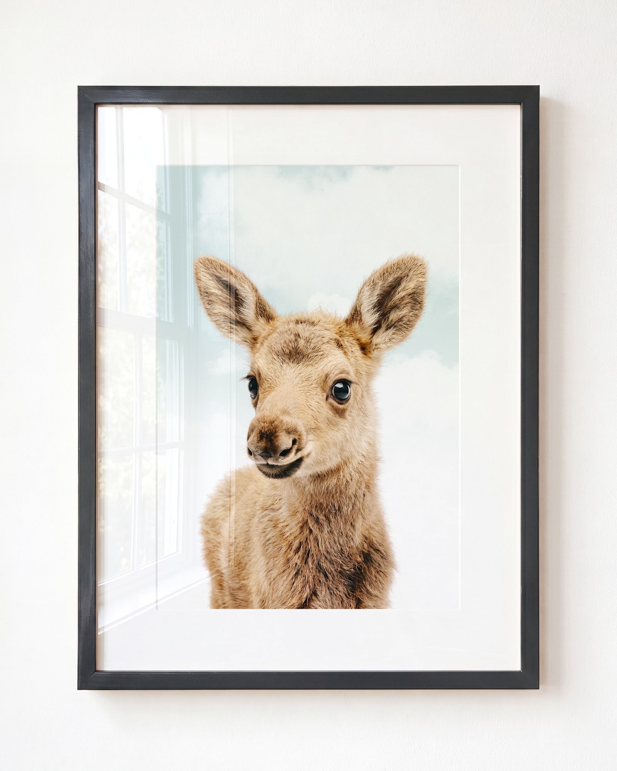 Baby Moose