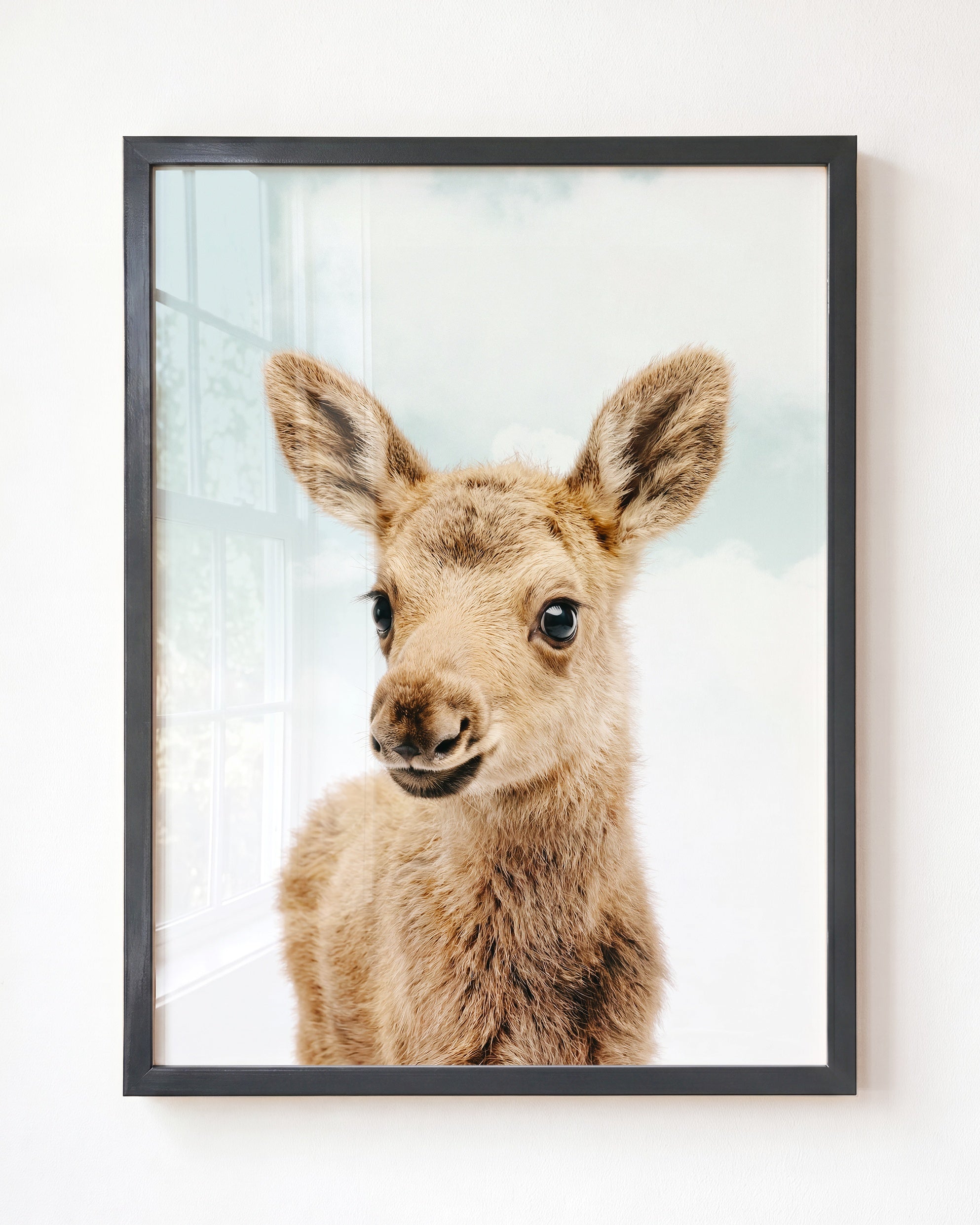Baby Moose