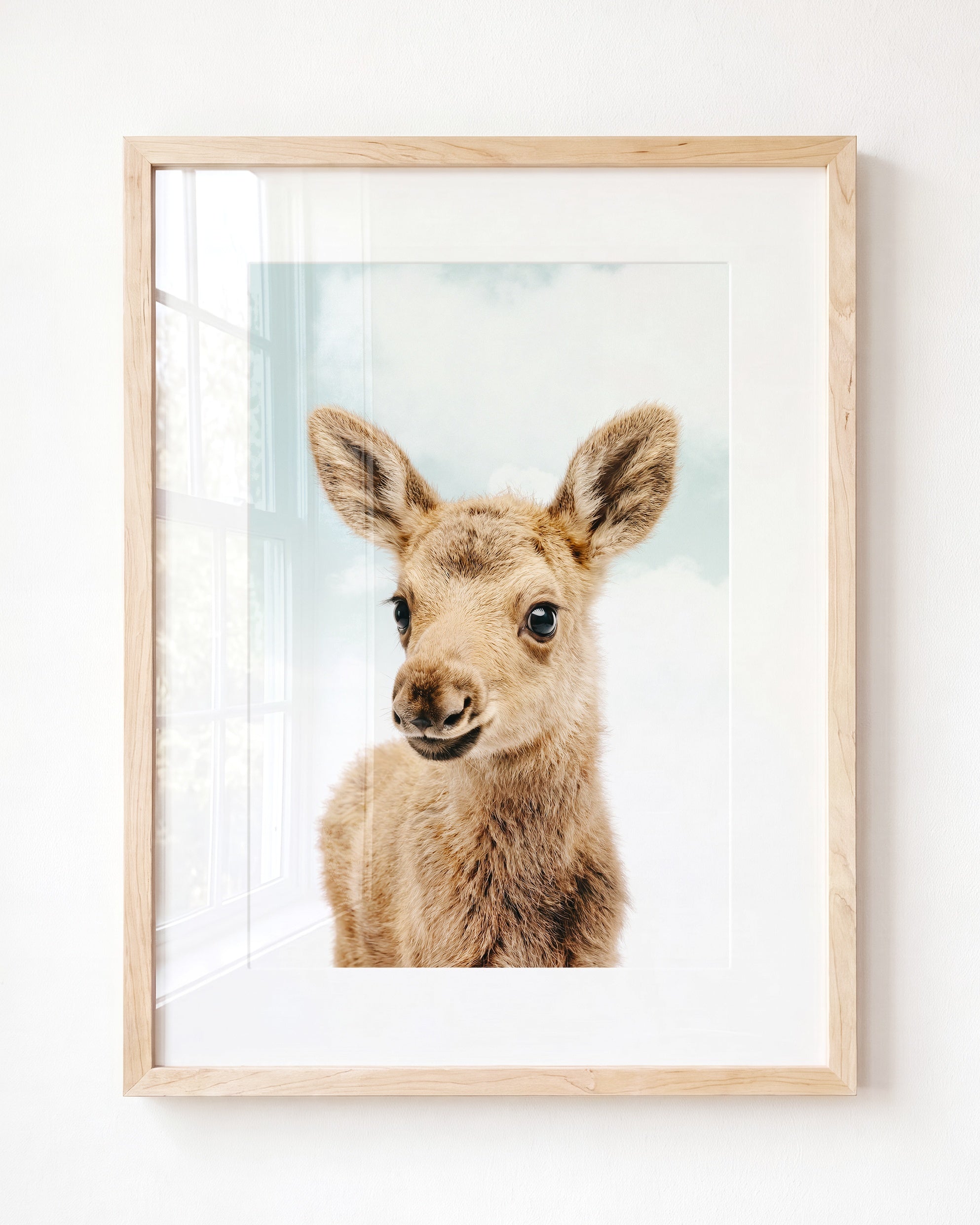 Baby Moose