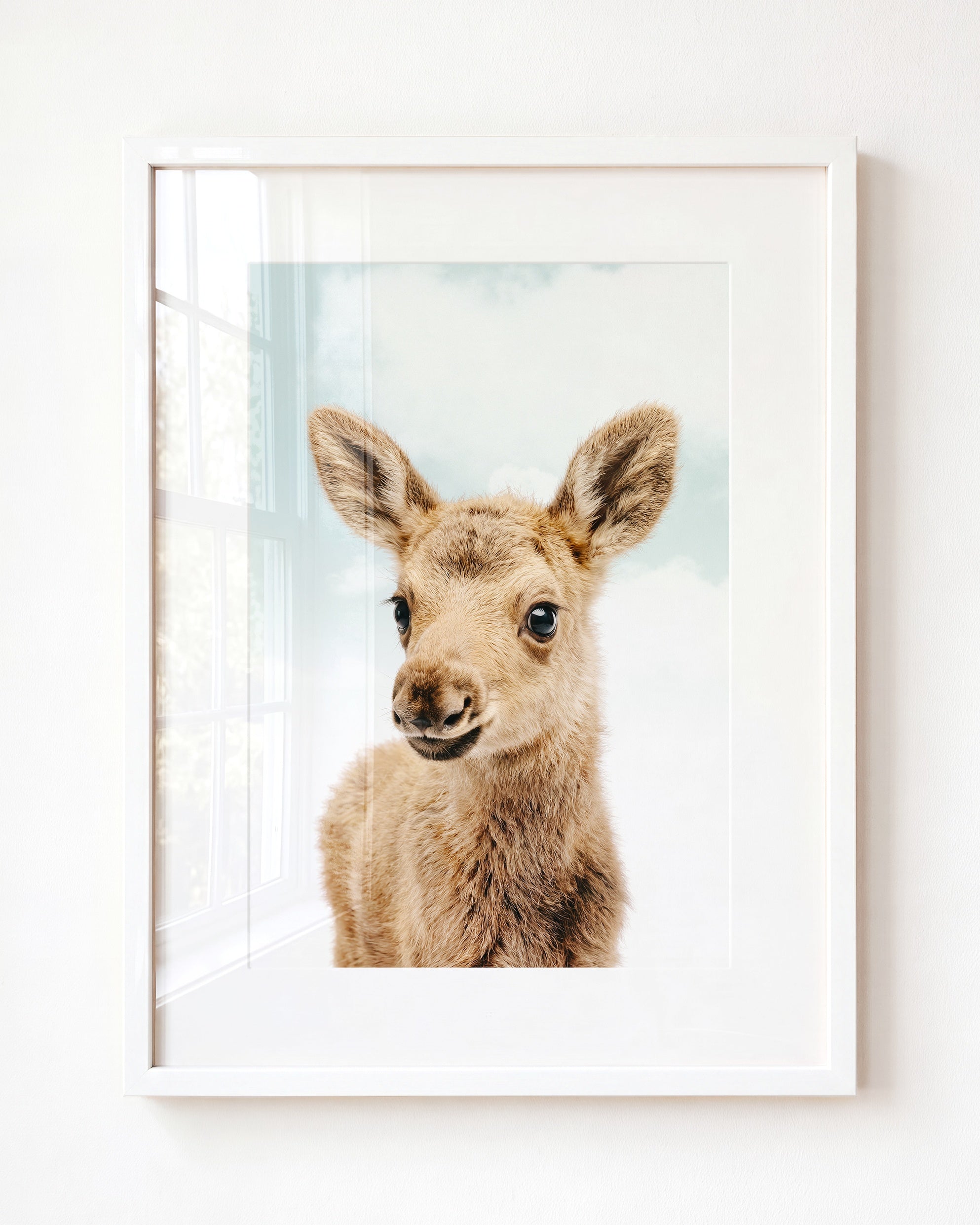 Baby Moose