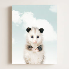 Baby Opossum