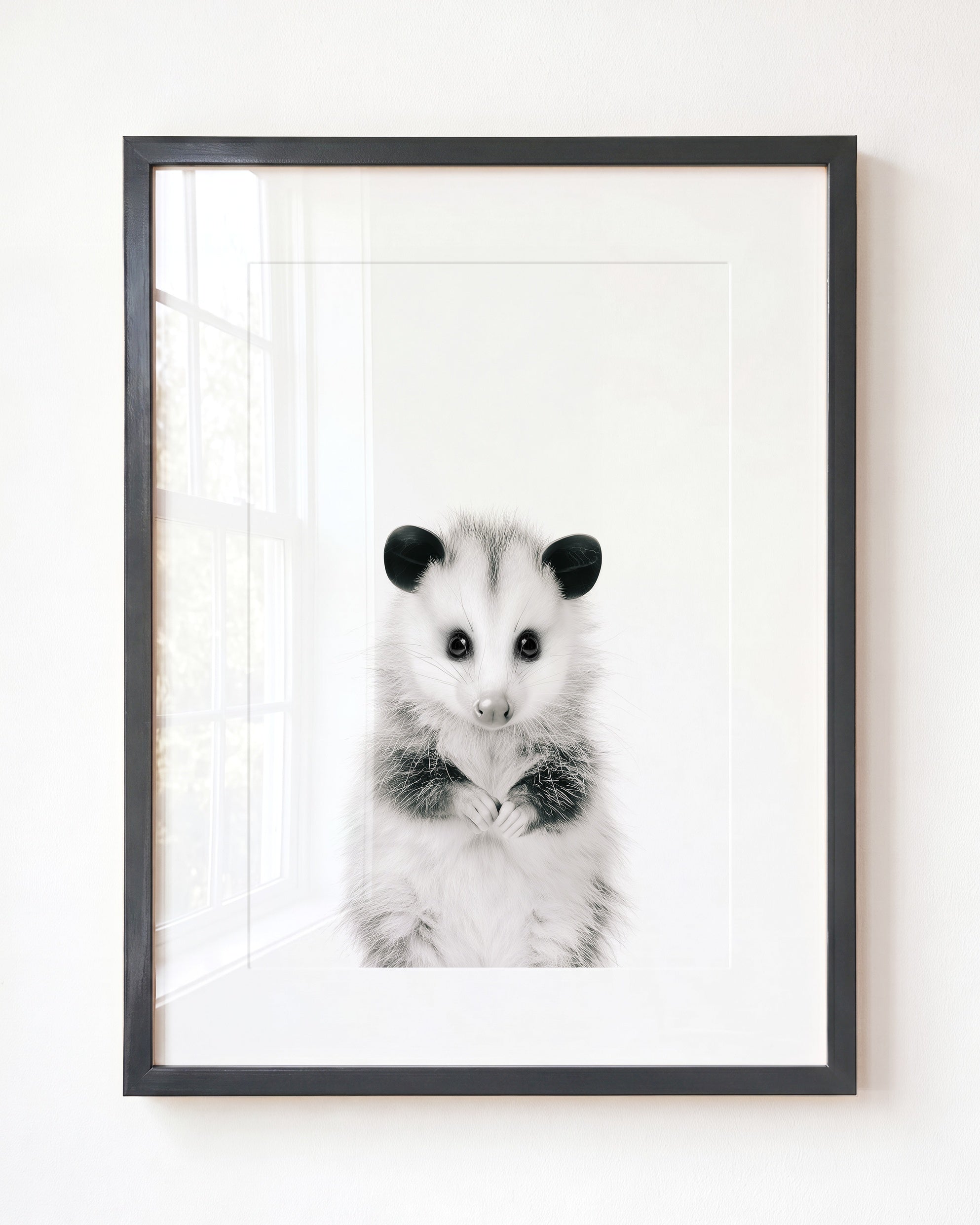 Baby Opossum
