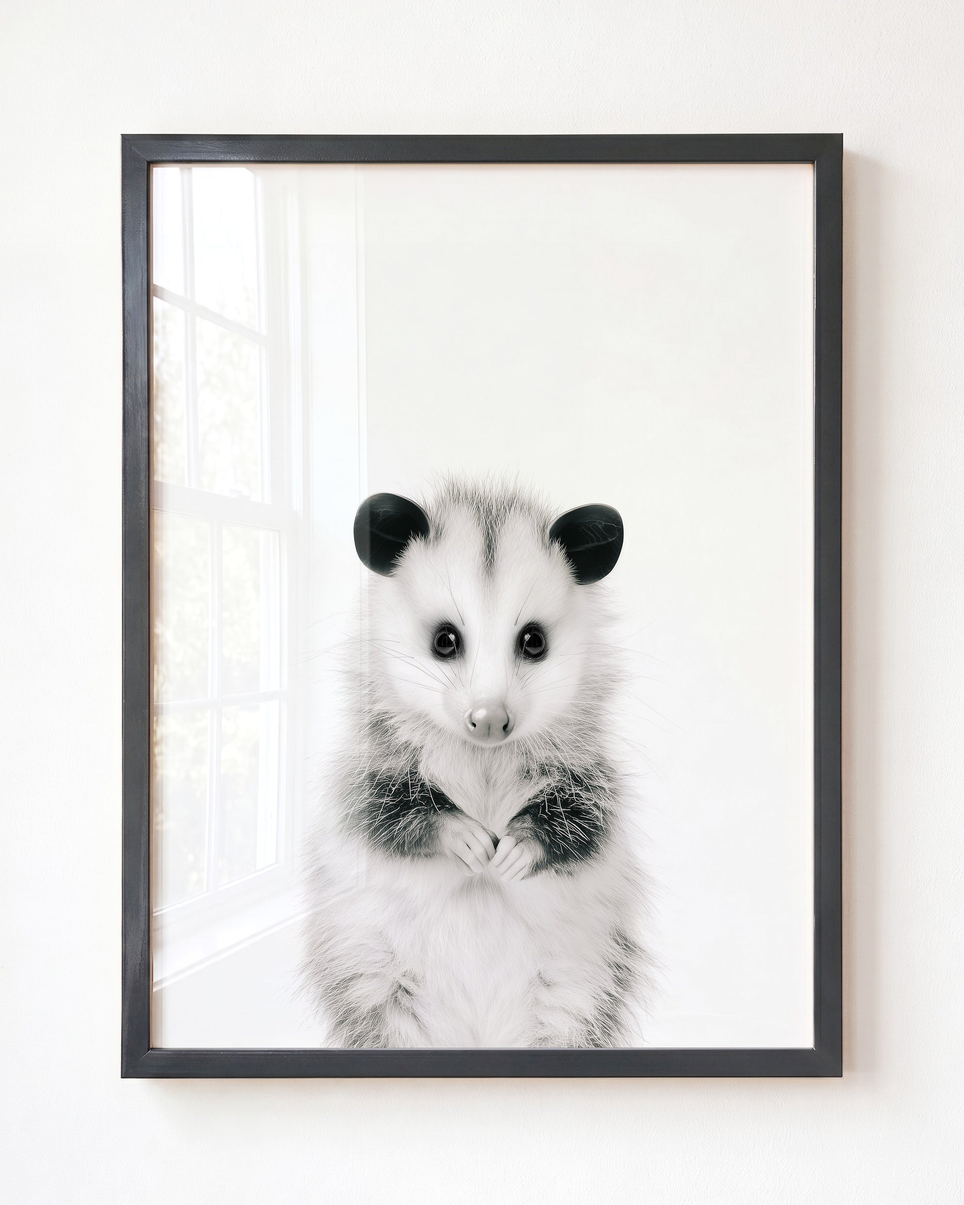 Baby Opossum