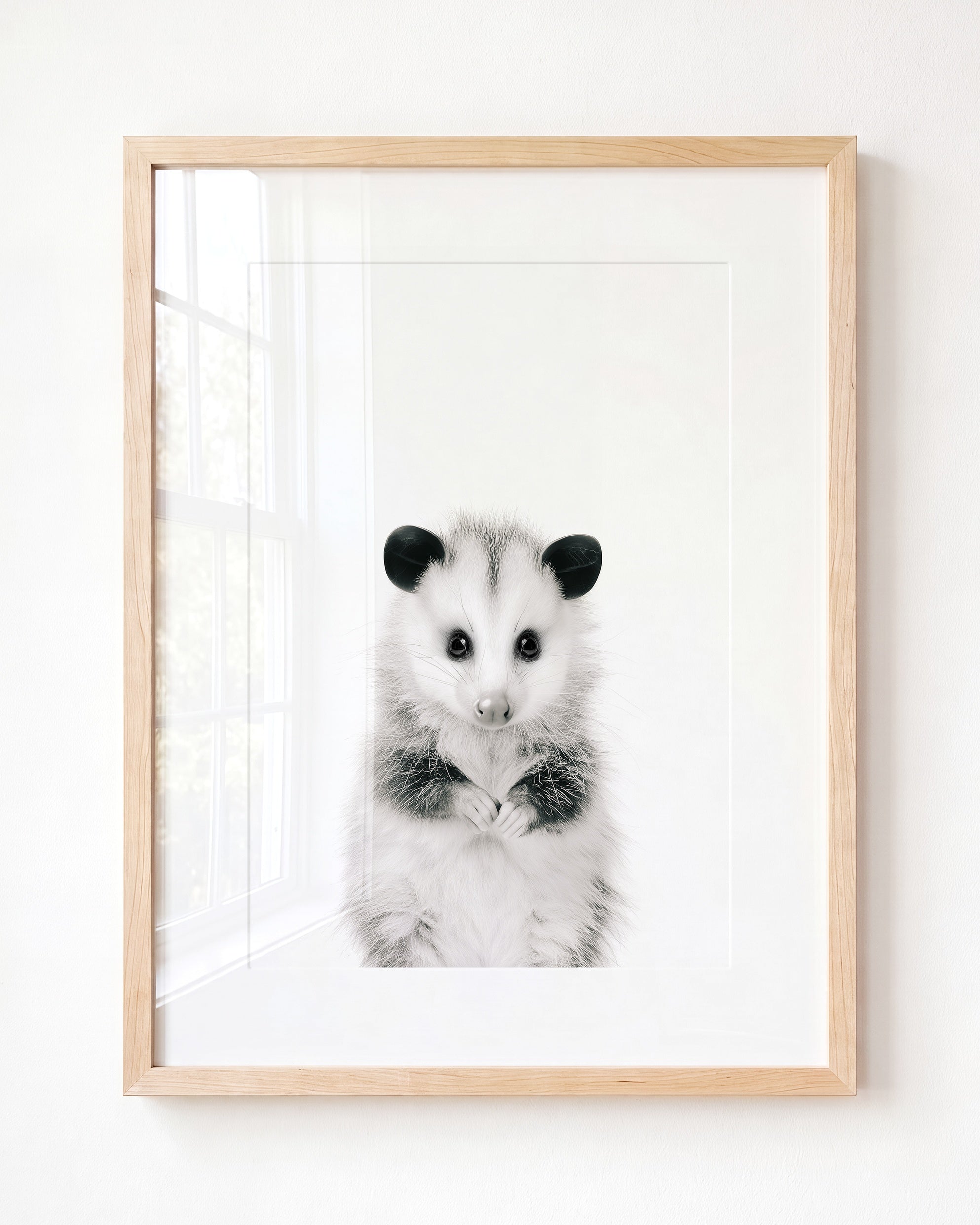 Baby Opossum