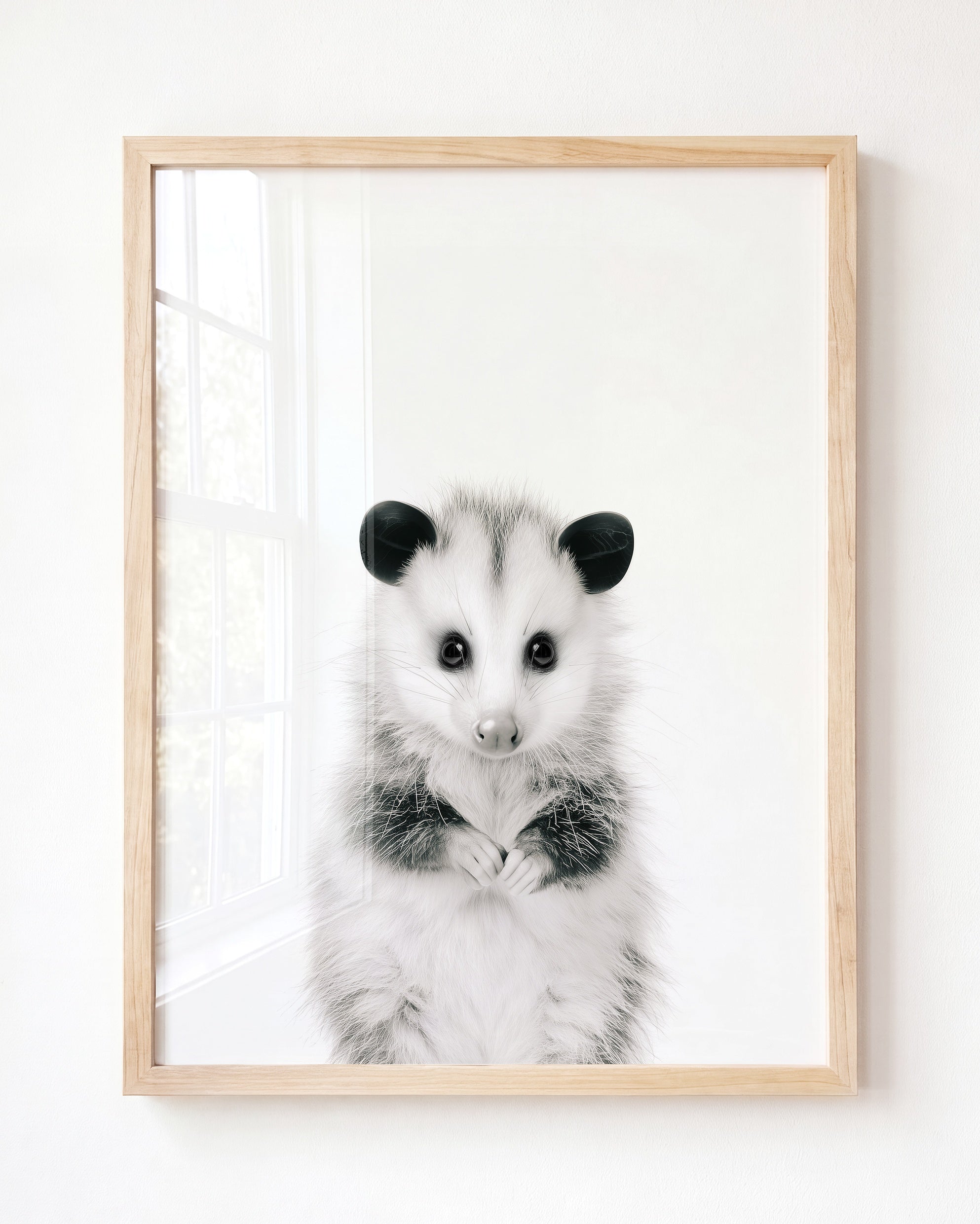 Baby Opossum