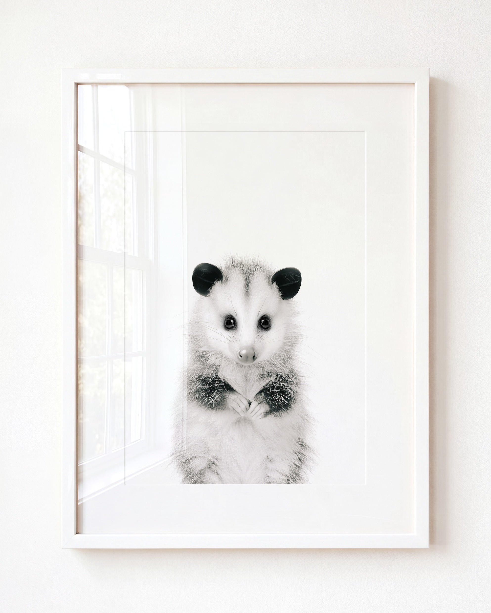Baby Opossum
