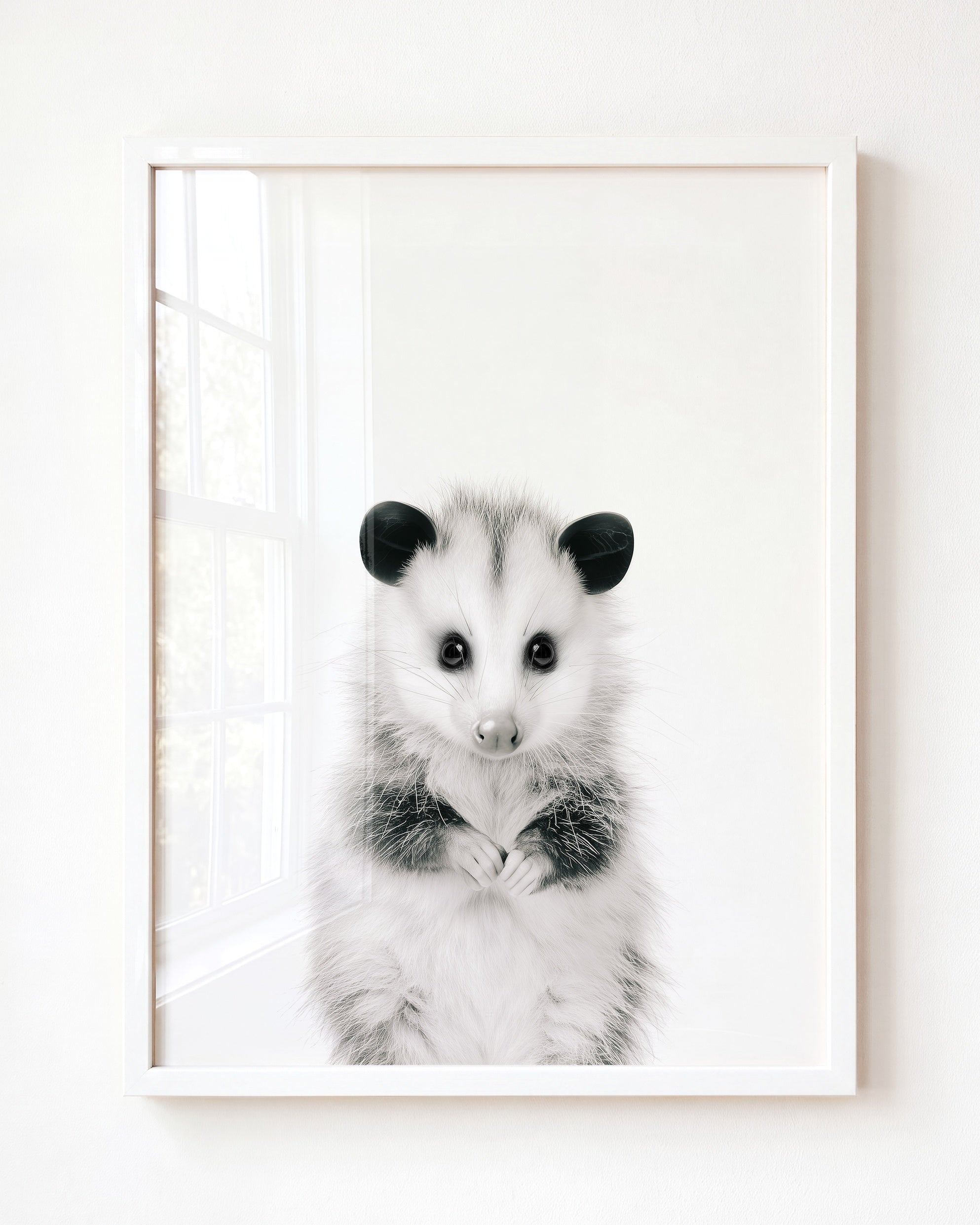 Baby Opossum
