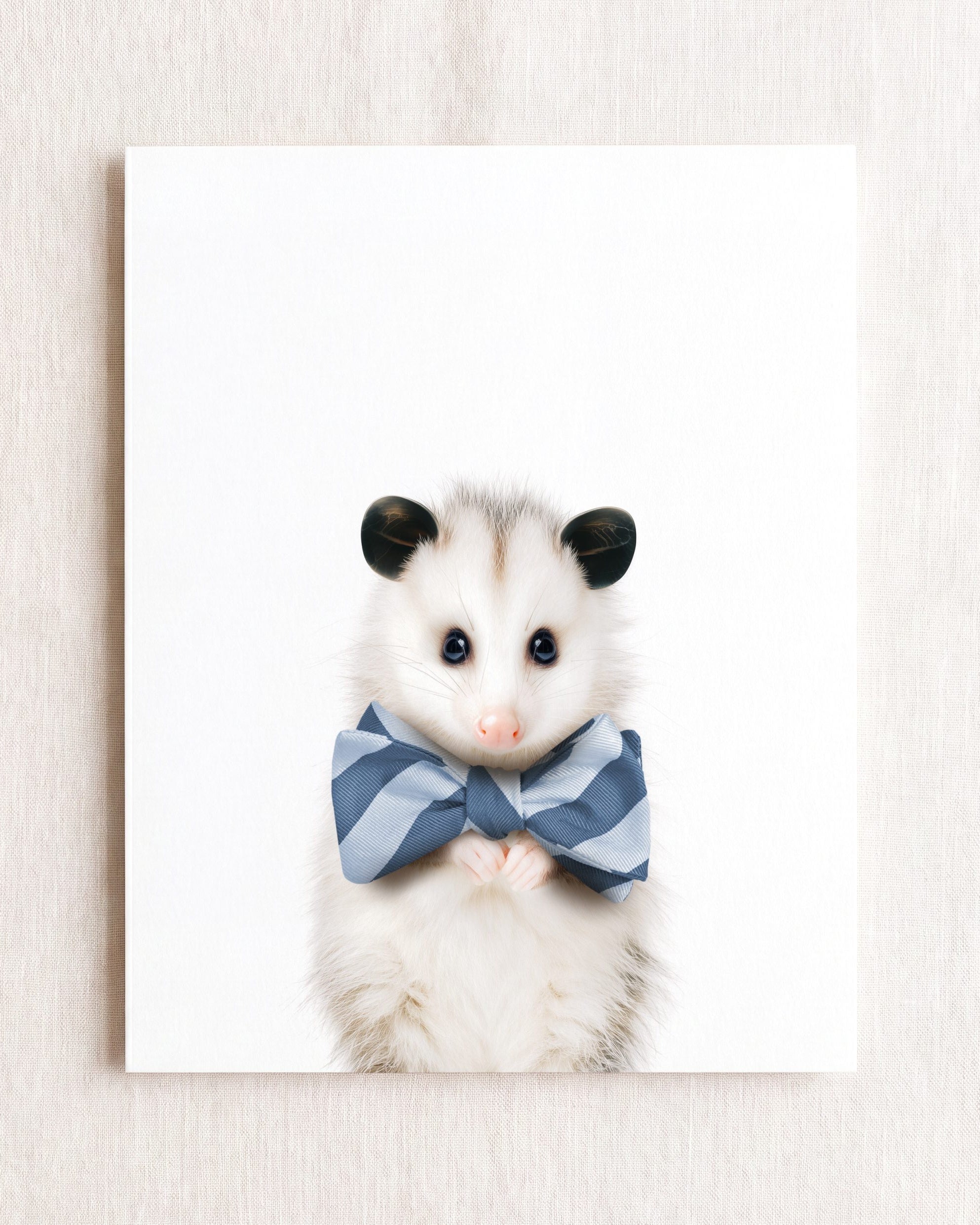 Baby Opossum