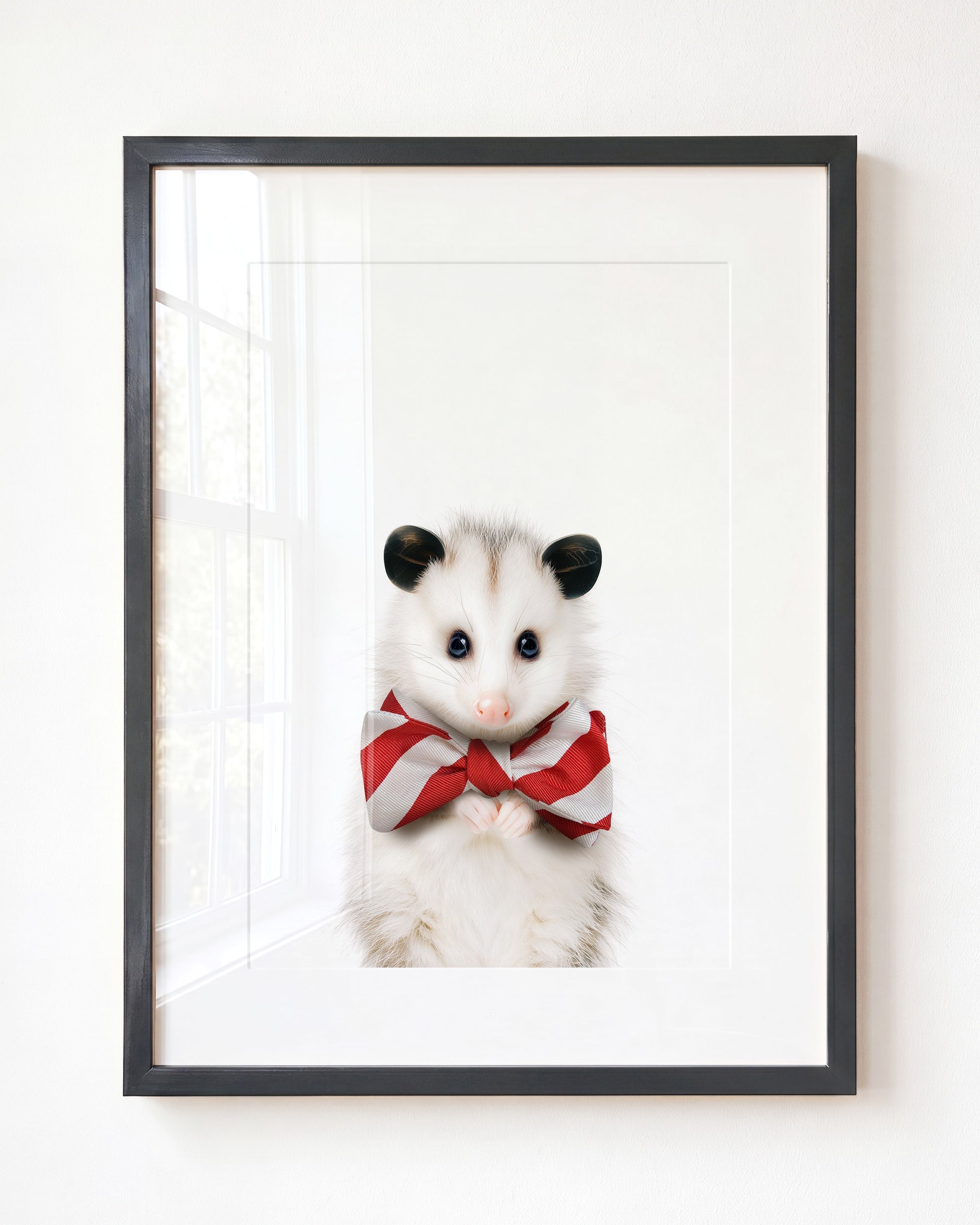 Baby Opossum