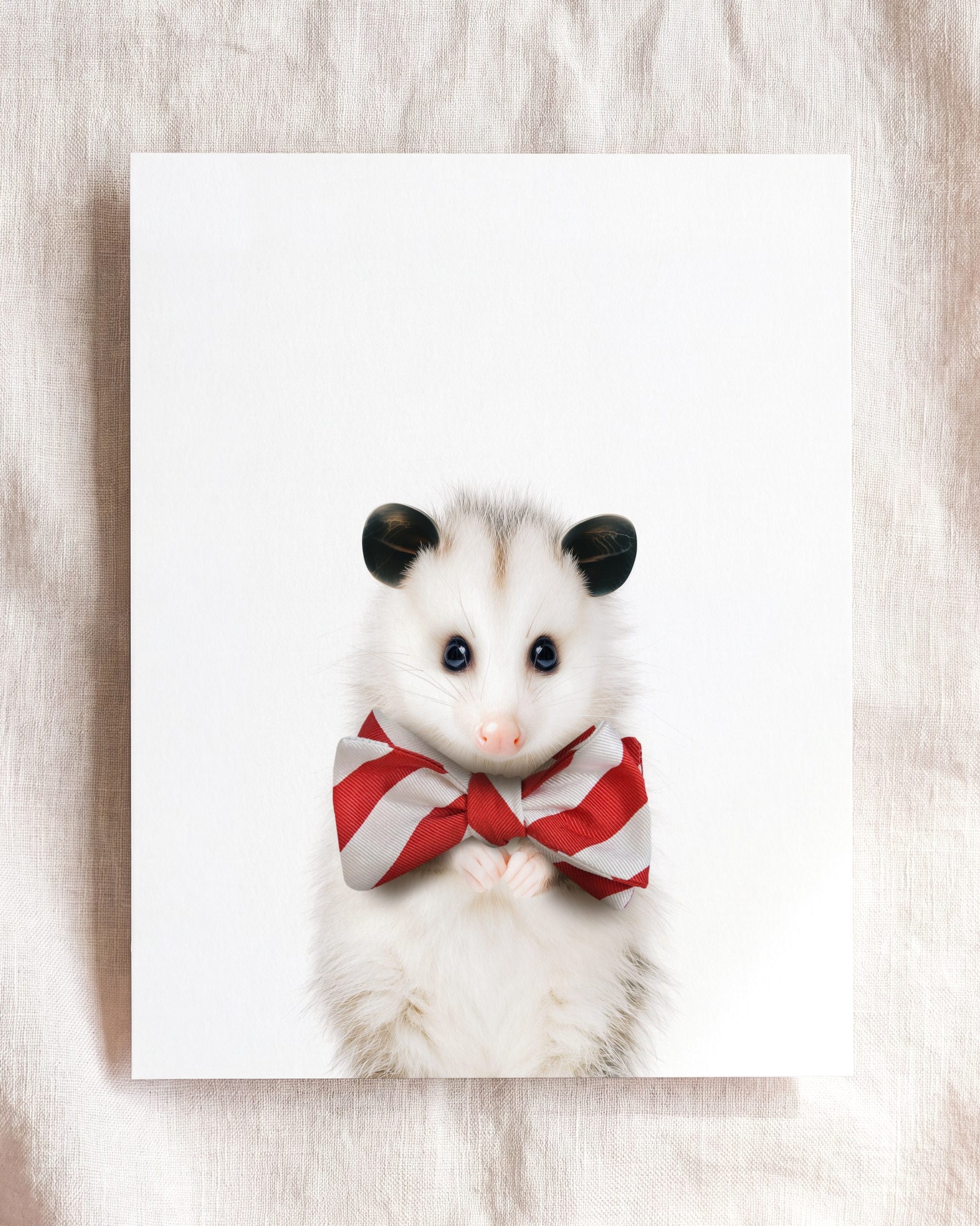 Baby Opossum