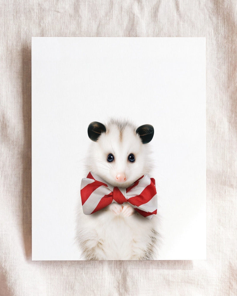 Bow Tie