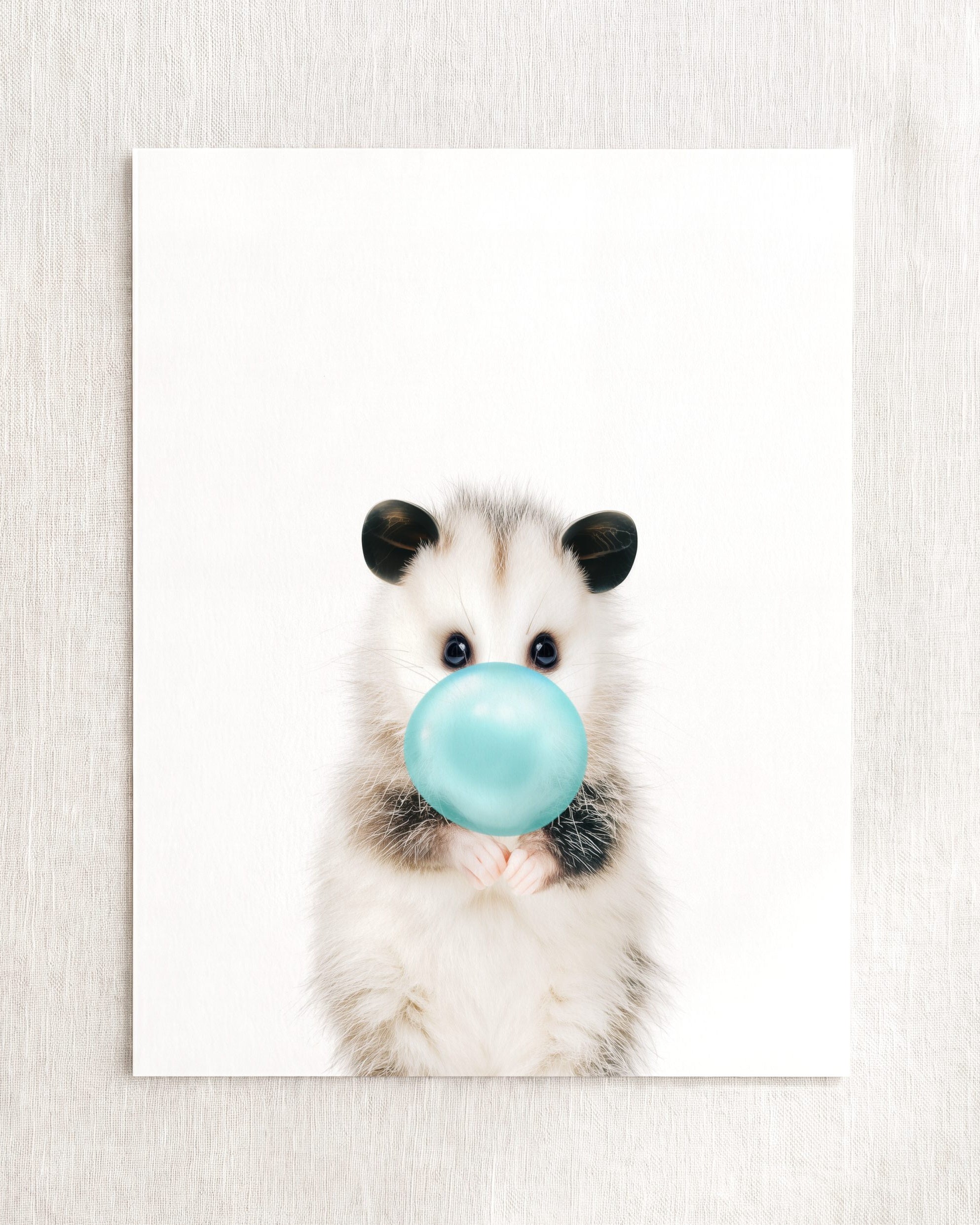 Baby Opossum