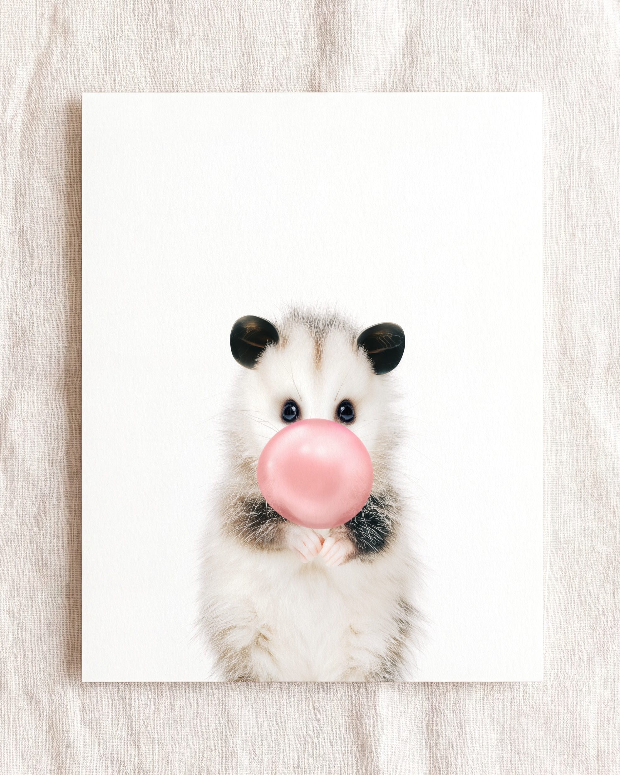 Baby Opossum