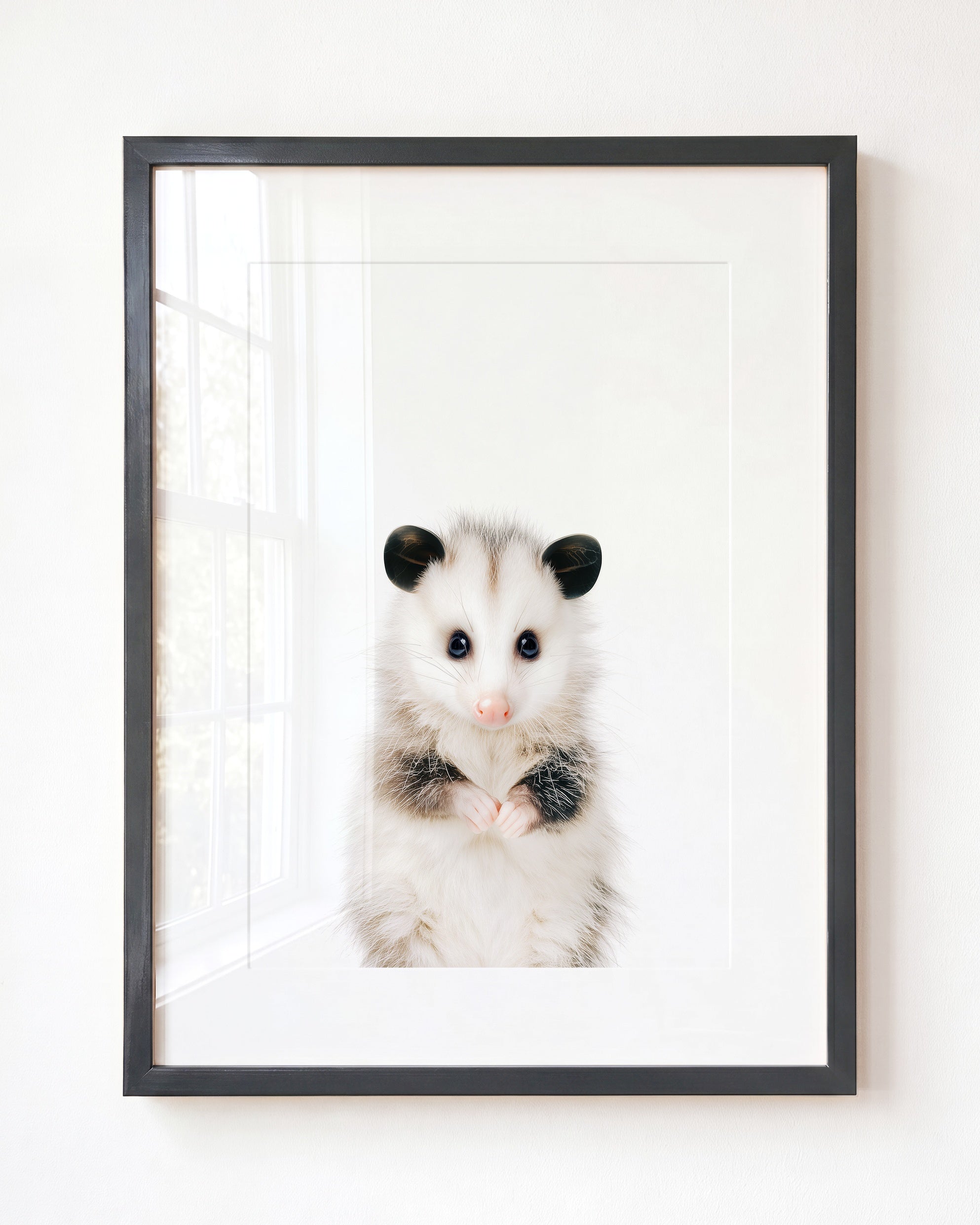 Baby Opossum