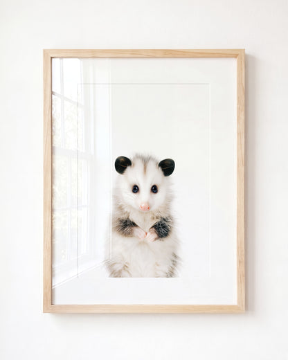 baby-opossum_classic_natural-frame-with-mat_wall-art-by-the-crown-prints_the-crown-prints.jpg