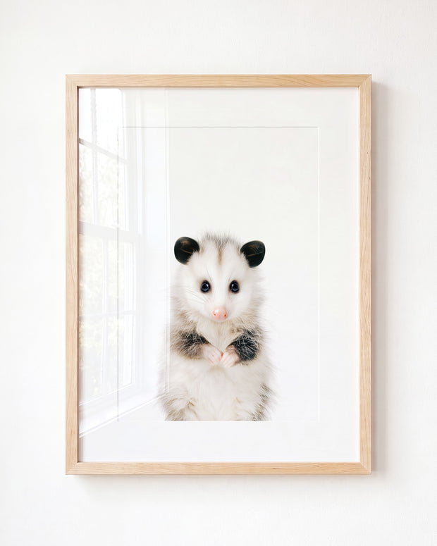 Baby Opossum