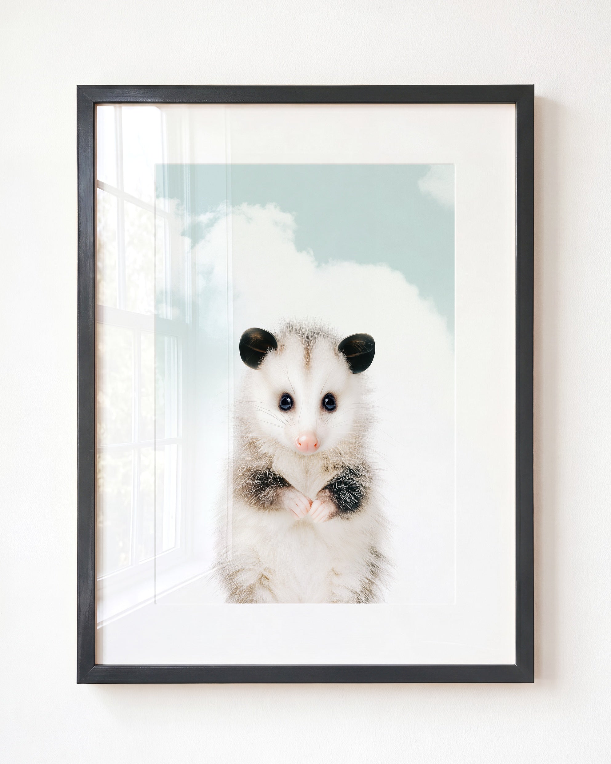 Baby Opossum