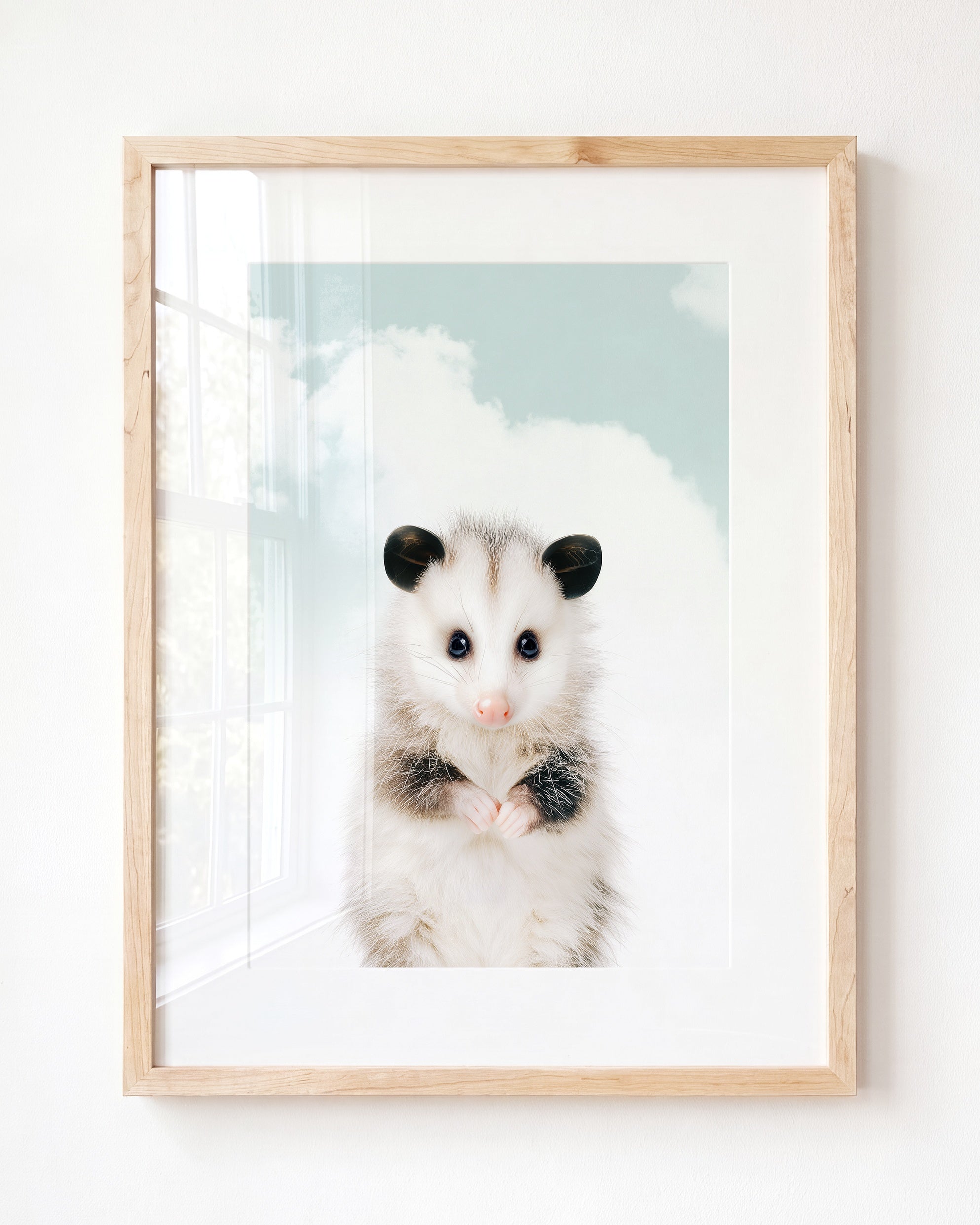 Baby Opossum