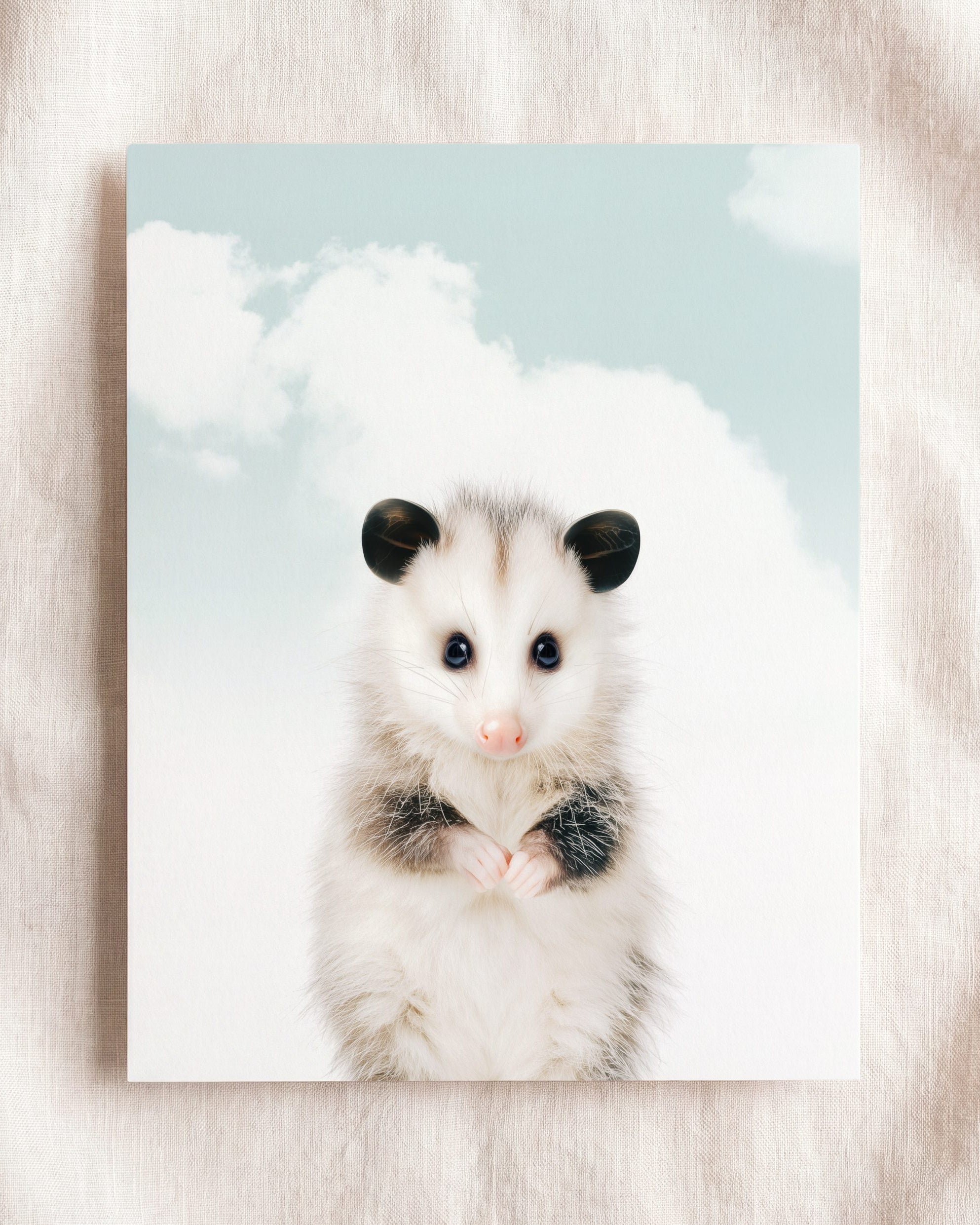 Baby Opossum