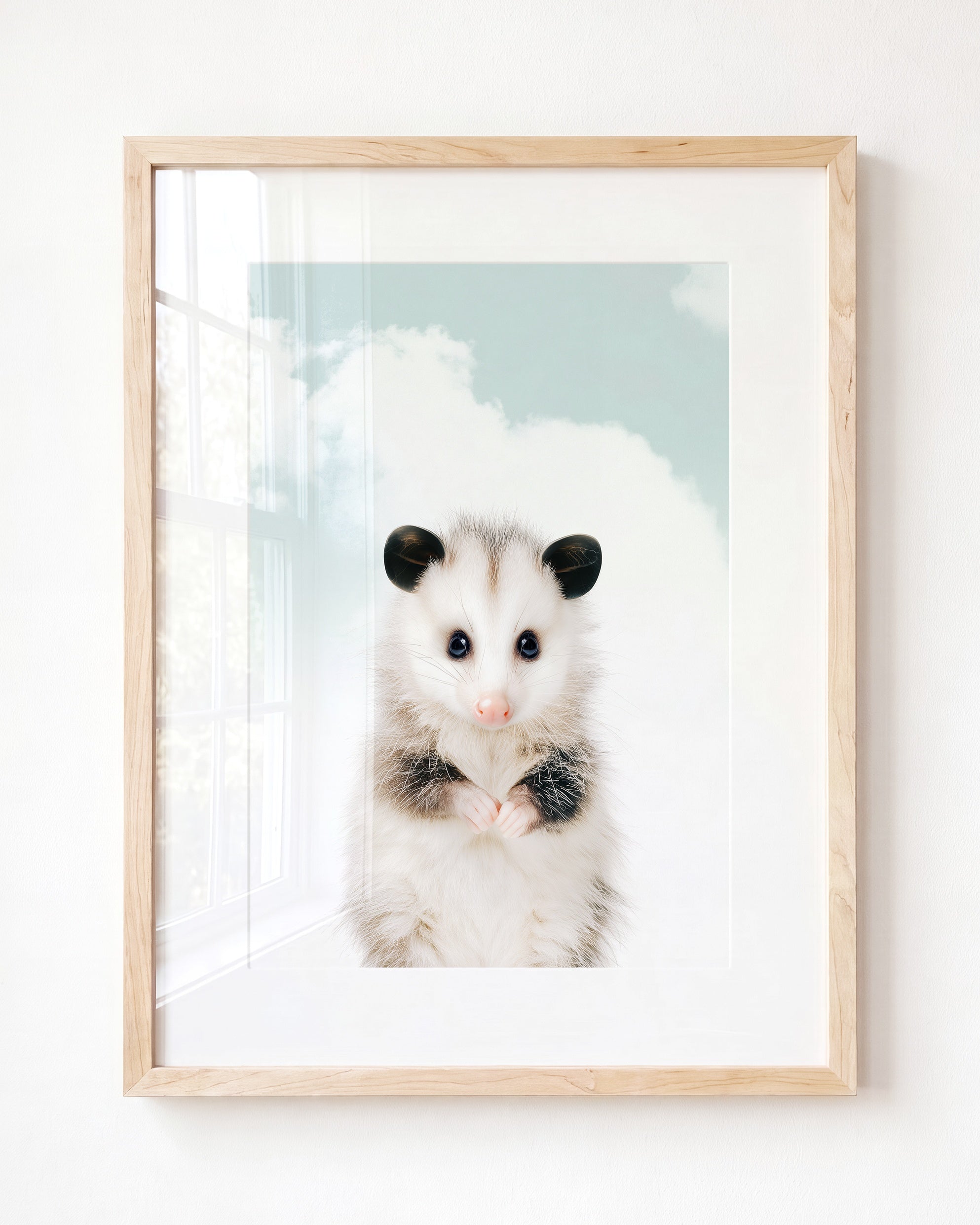 Baby Opossum